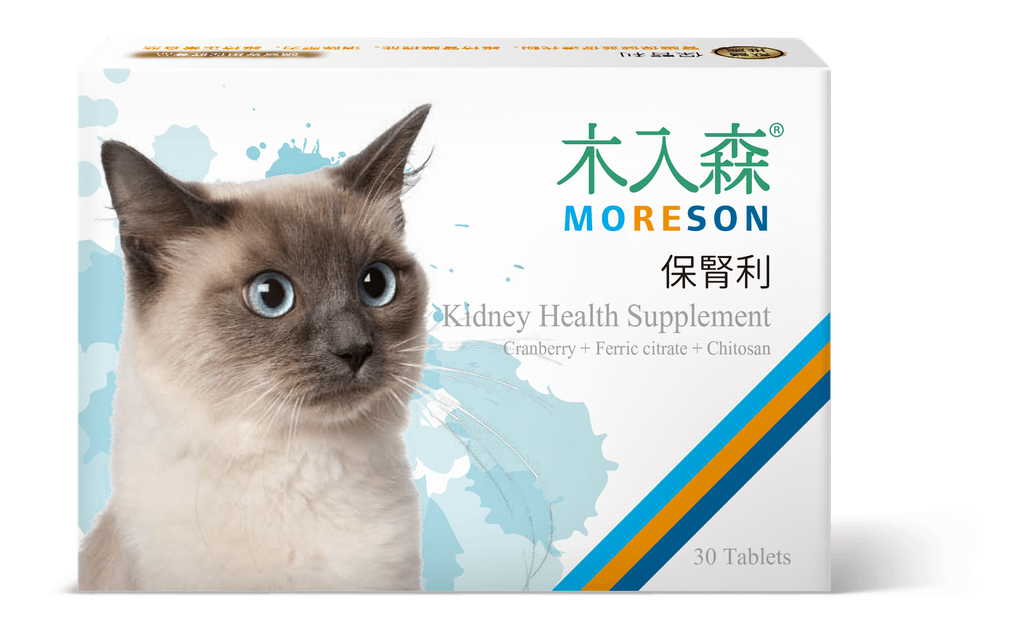 貓保腎利_正視_小
