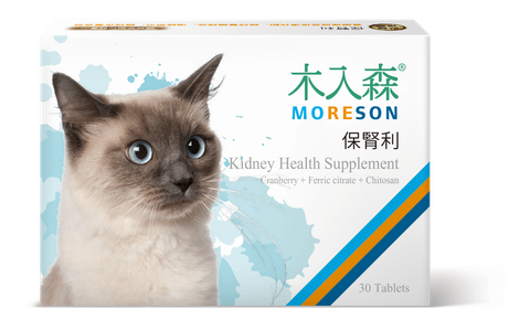 貓保腎利_正視_小