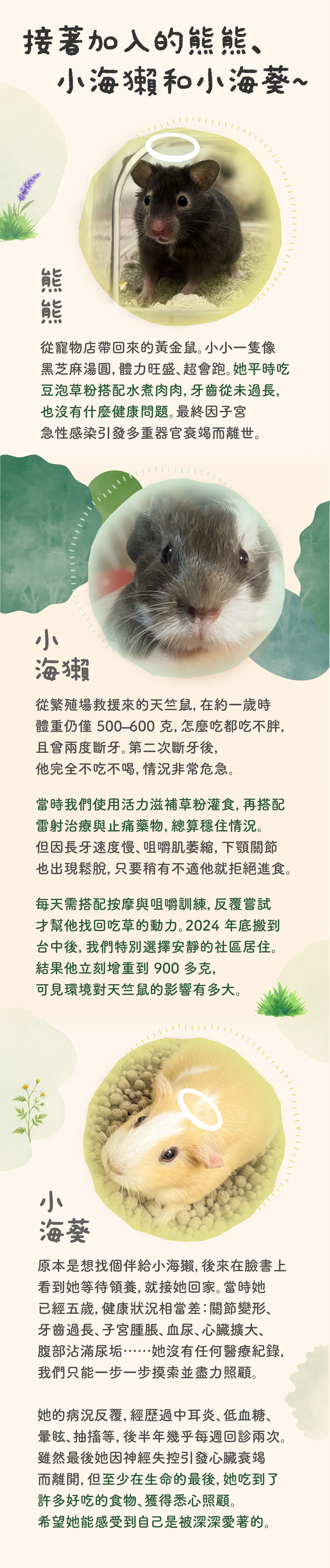 我們的故事-250811_03