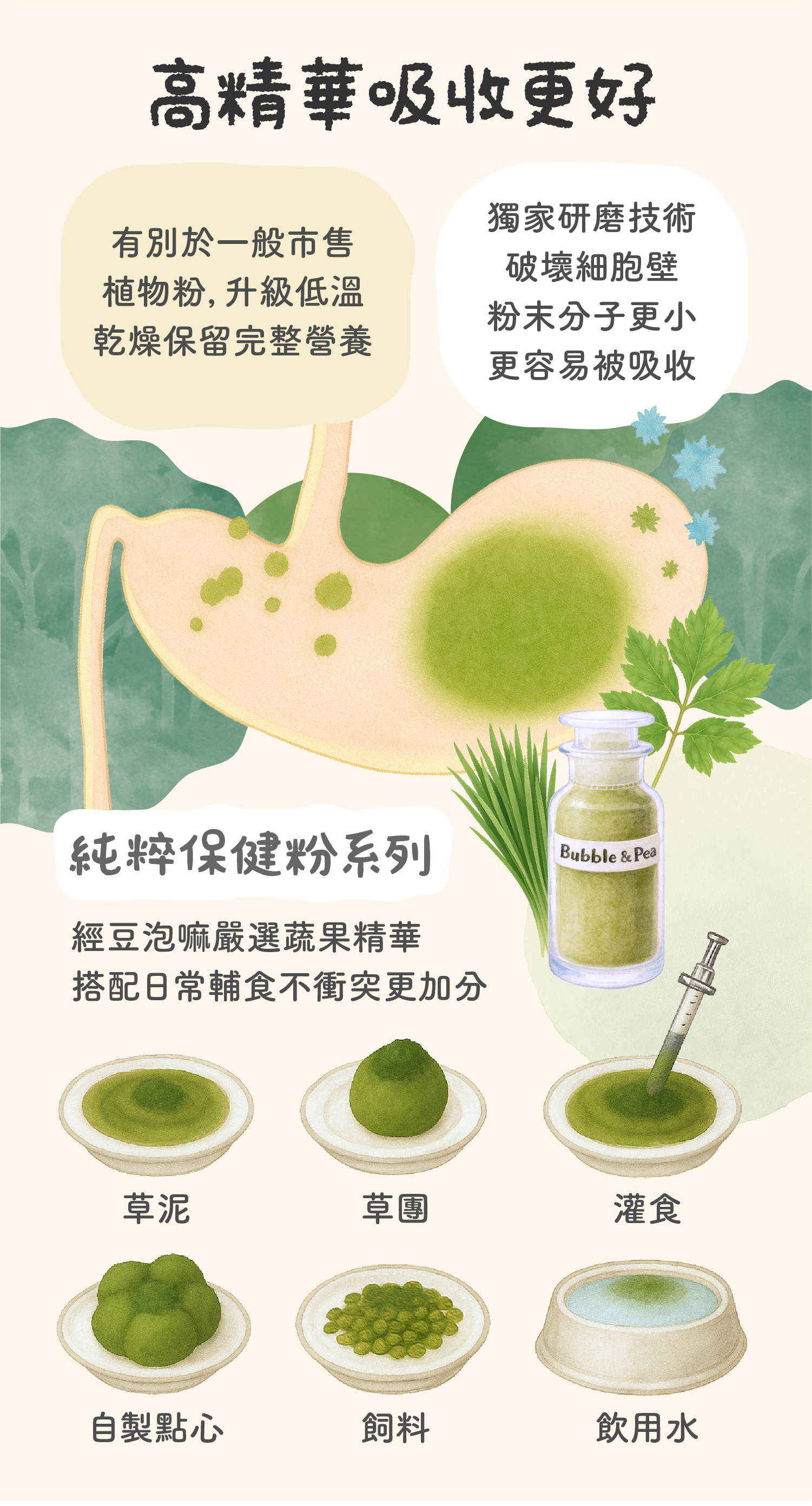 保健粉成份特色-小麥草、明日葉-251206_4