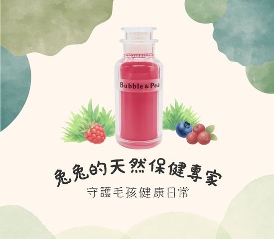  | 豆豆泡泡｜兔子&天竺鼠健康營養輔食