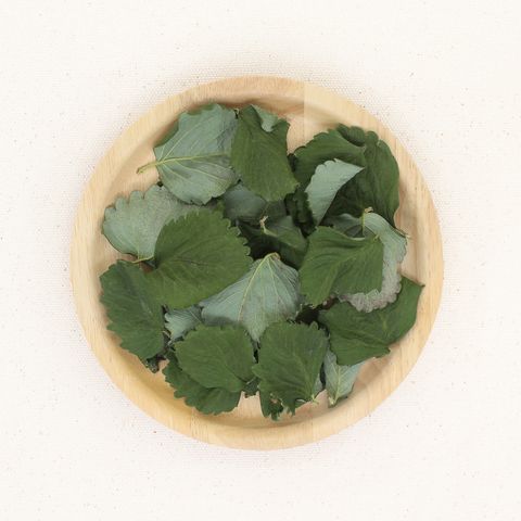 草莓葉-1