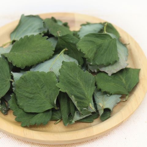 草莓葉-2