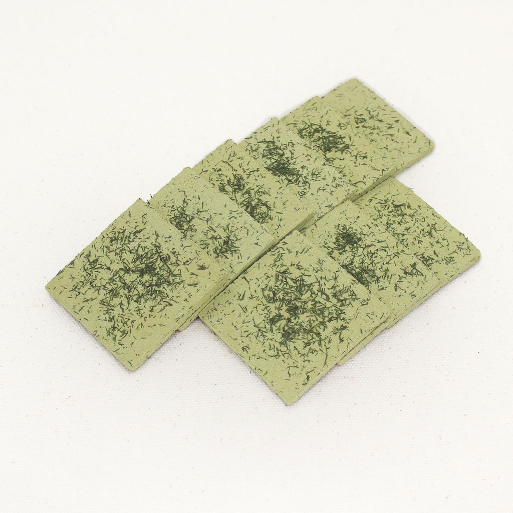 蒔蘿-1-1500