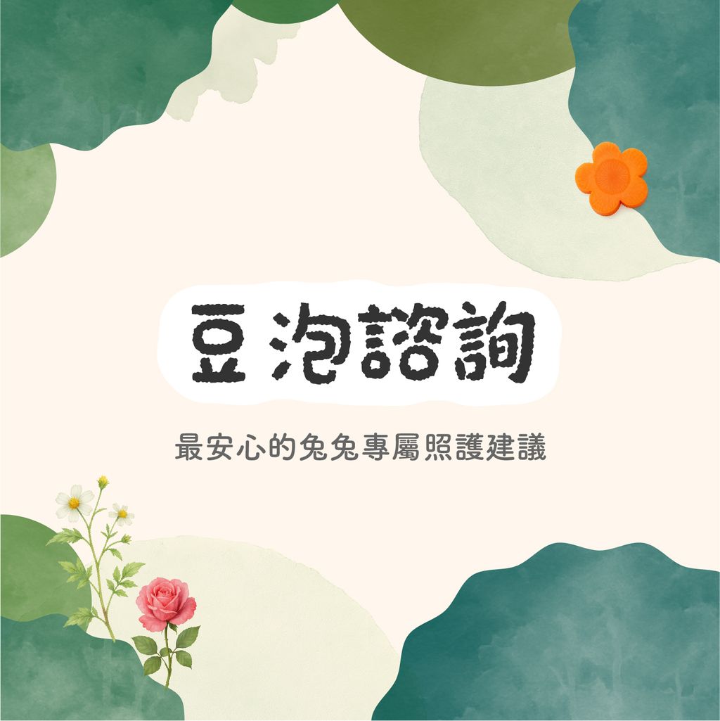 豆泡諮詢-v4-250920_1