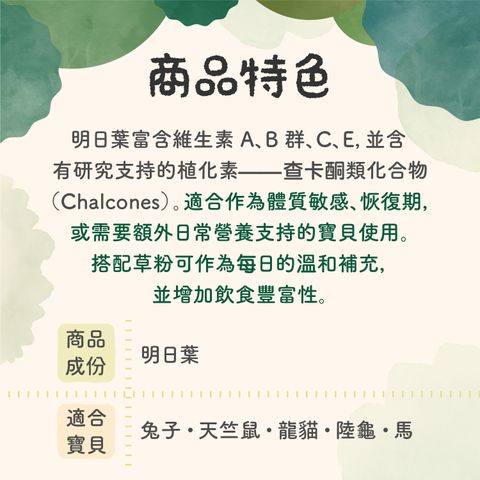 保健粉成份特色-小麥草、明日葉-251206_2