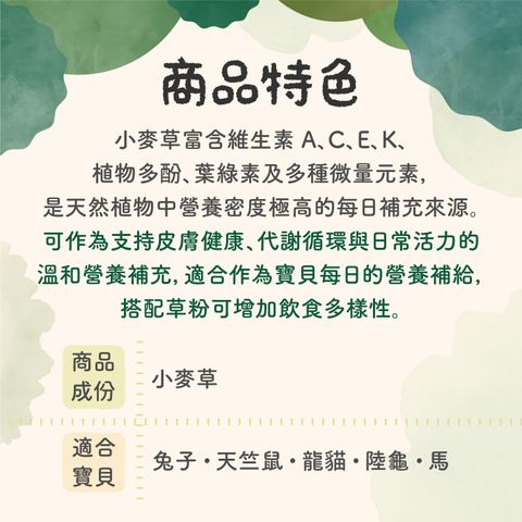 保健粉成份特色-小麥草、明日葉-251206_1
