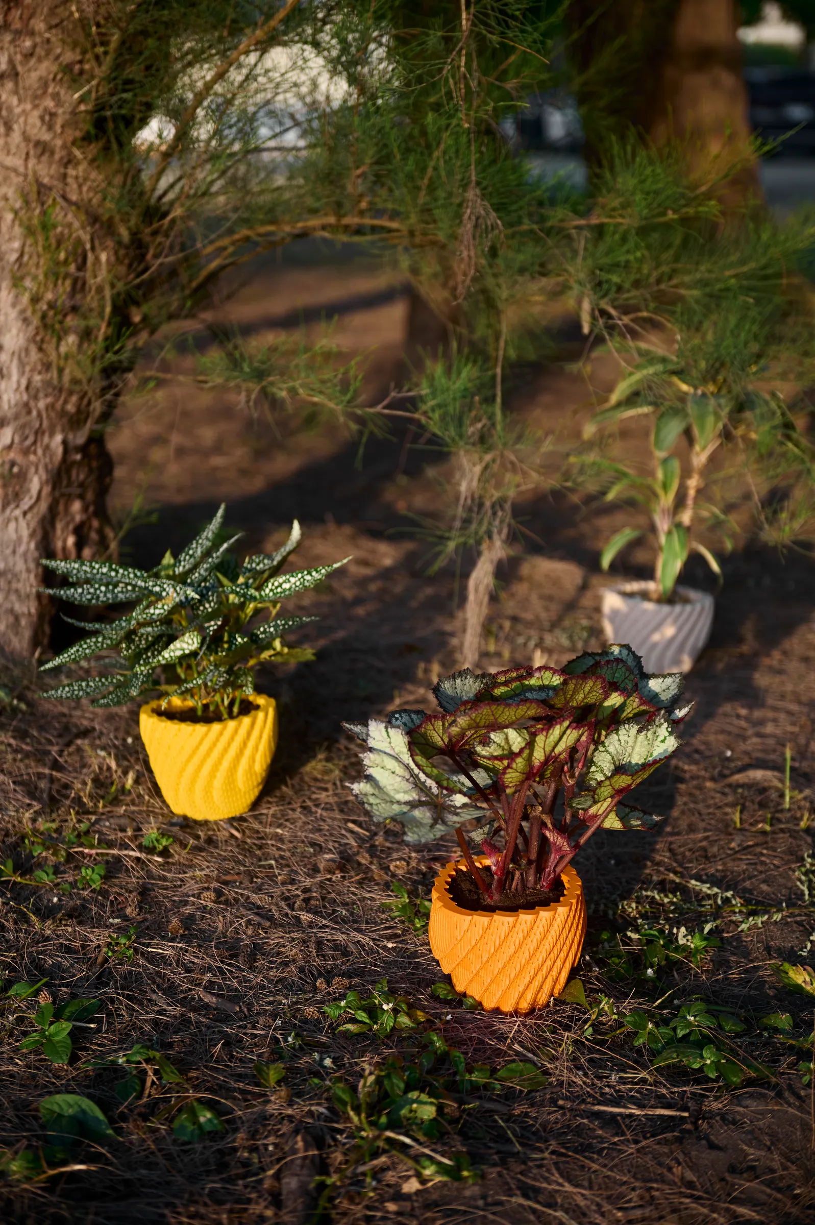 image_D883E89F-D405-4475-A050-8983327AB6D5_1761793699