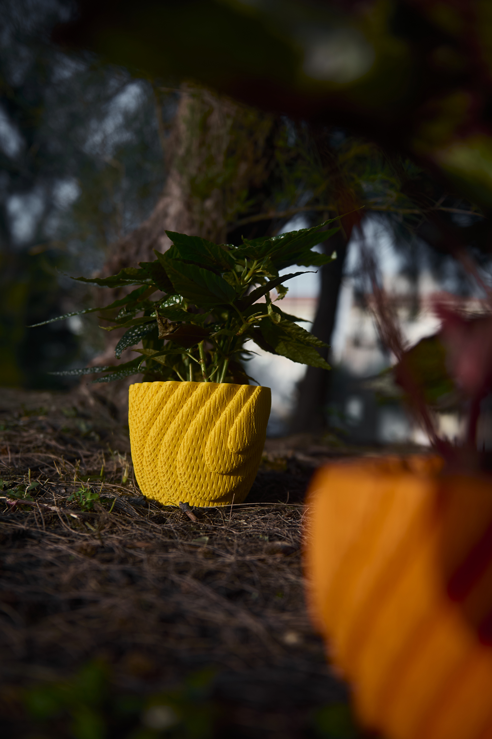 image_9858E59C-1805-4632-BE91-64DF77E65EA4_1761793699