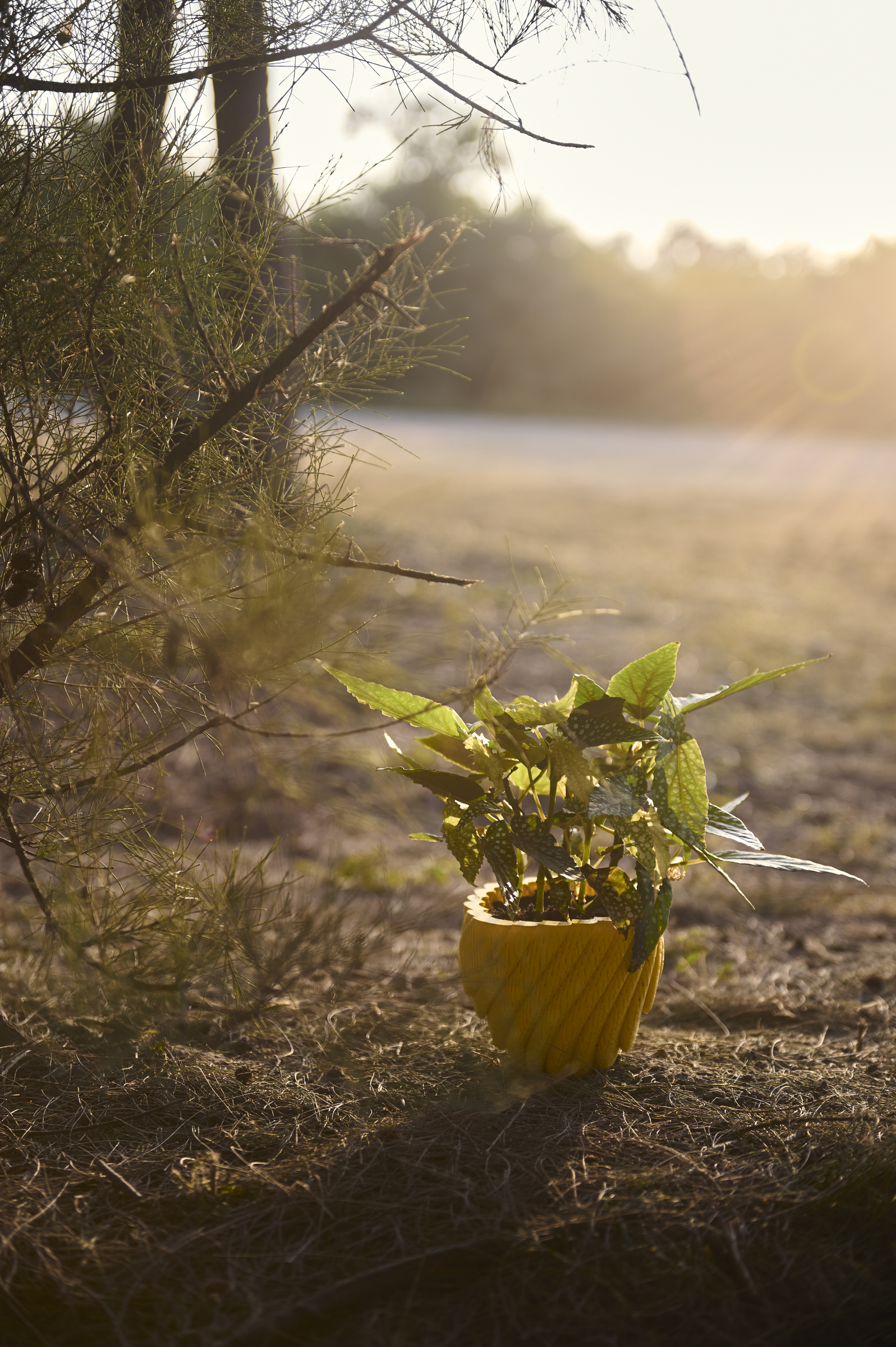 image_33651418-6952-4475-BB4E-438BAE4E0DA5_1761793699