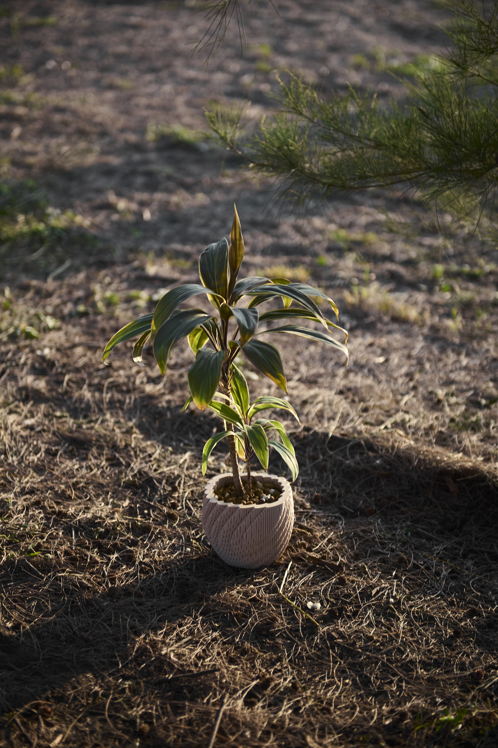 image_1CA5F9F1-DE0F-454E-B983-155C3C43700A_1761793699