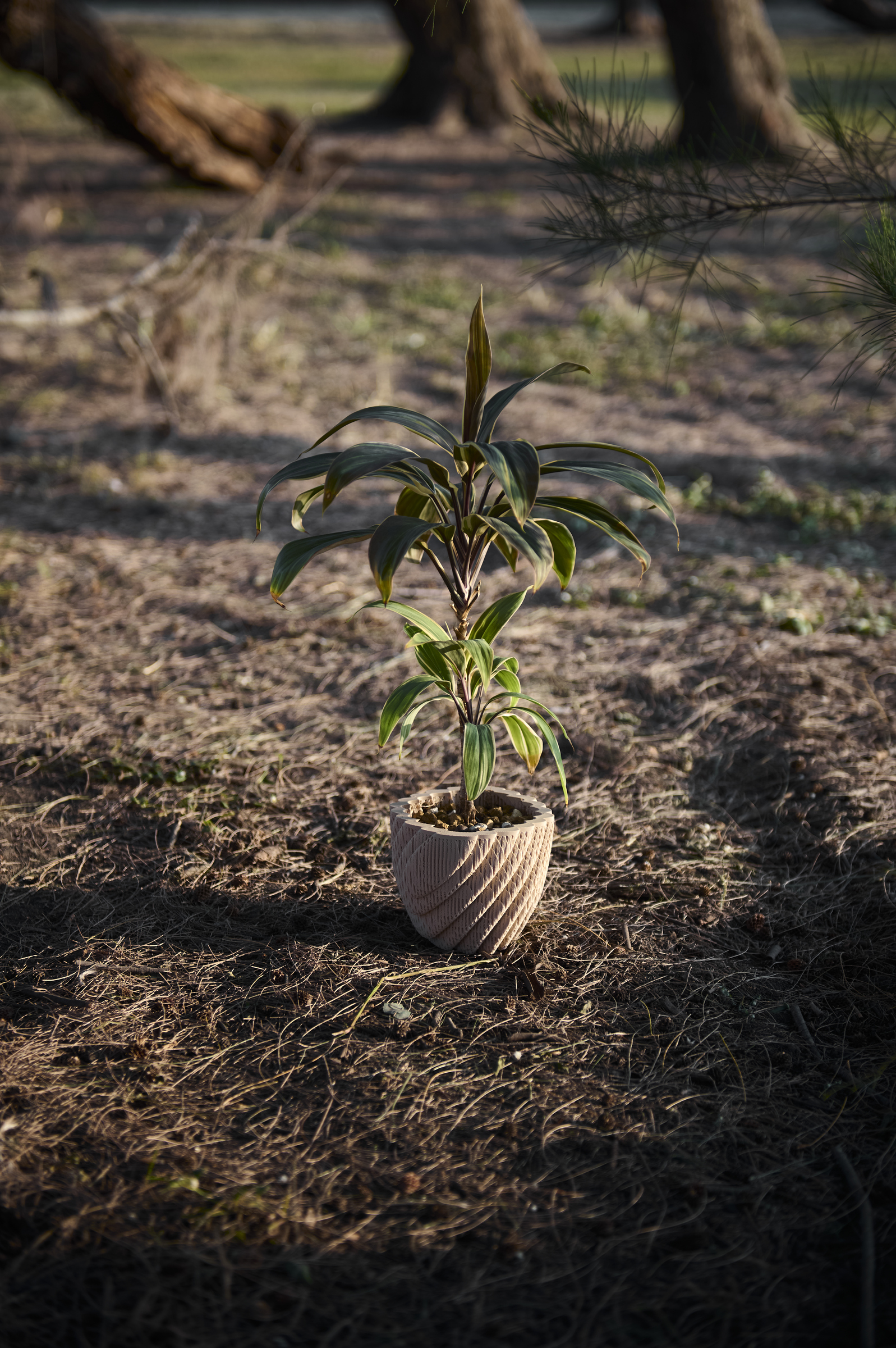 image_3372ACFF-A04B-4881-B43A-0A403F326678_1761793700