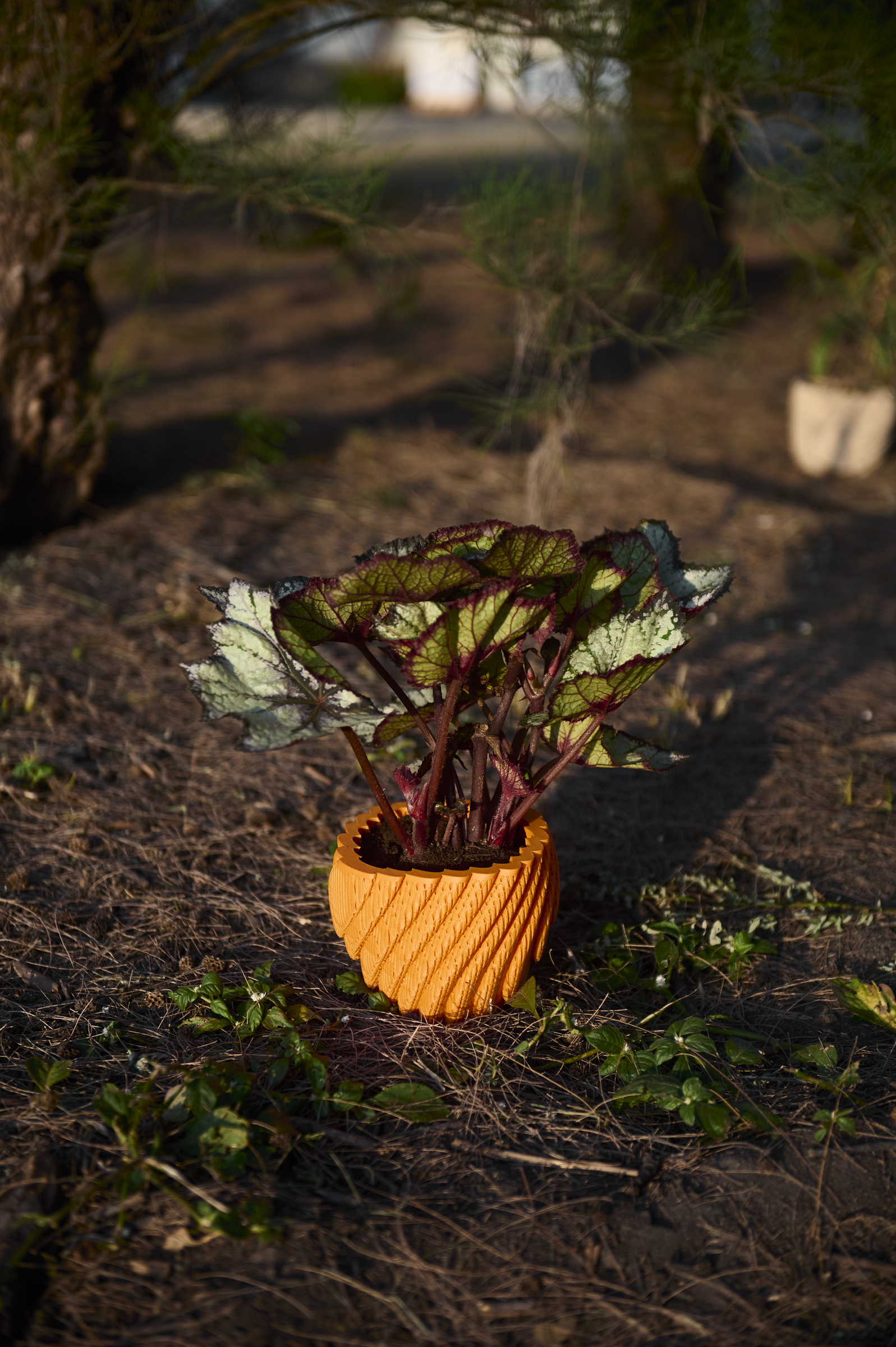 image_05023EE5-FCE6-4A2B-A51E-0F90A6AE820D_1761793700