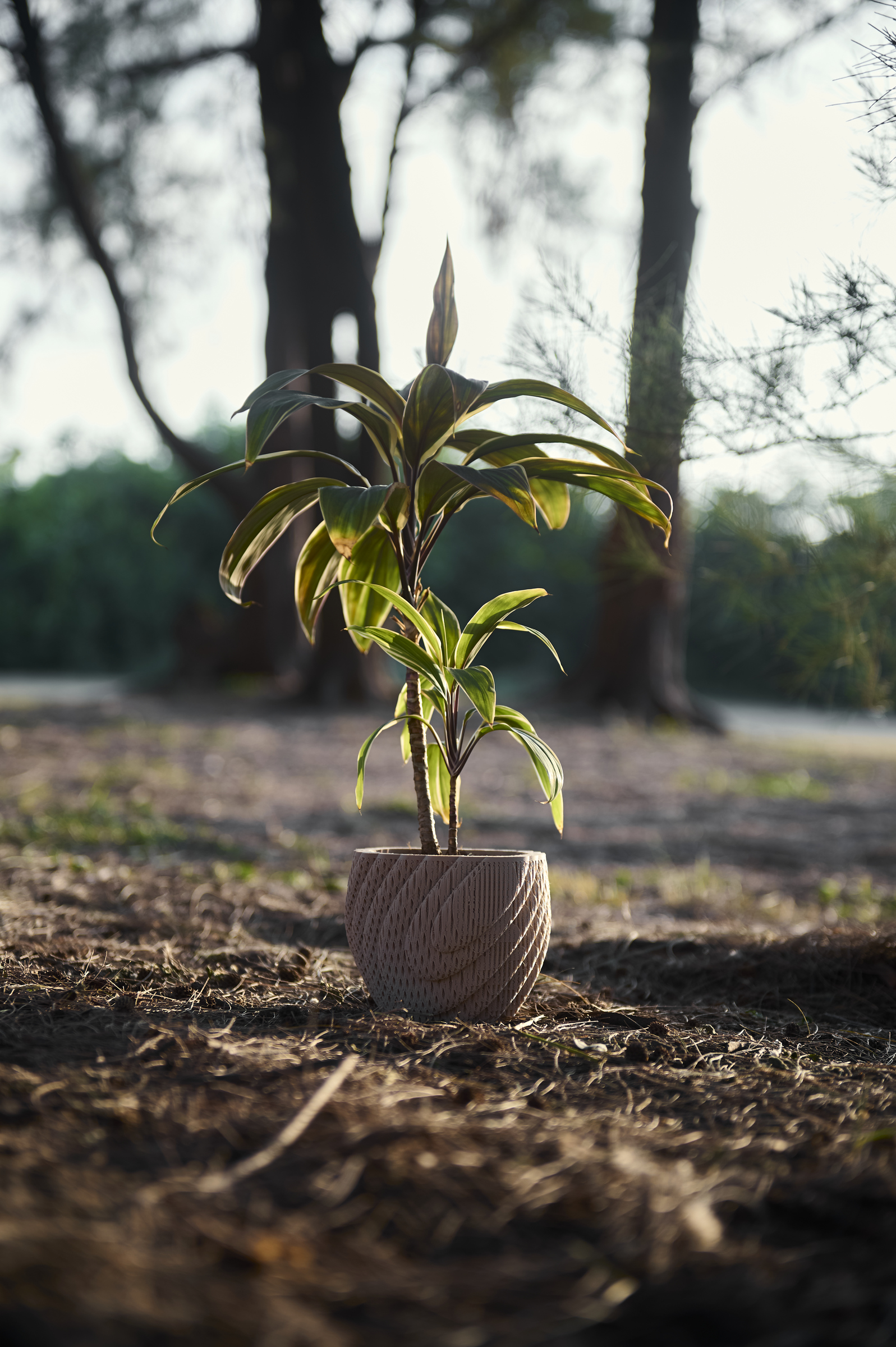 image_3AA715C5-0369-40A1-94CF-E6FBE211D8B5_1761793700