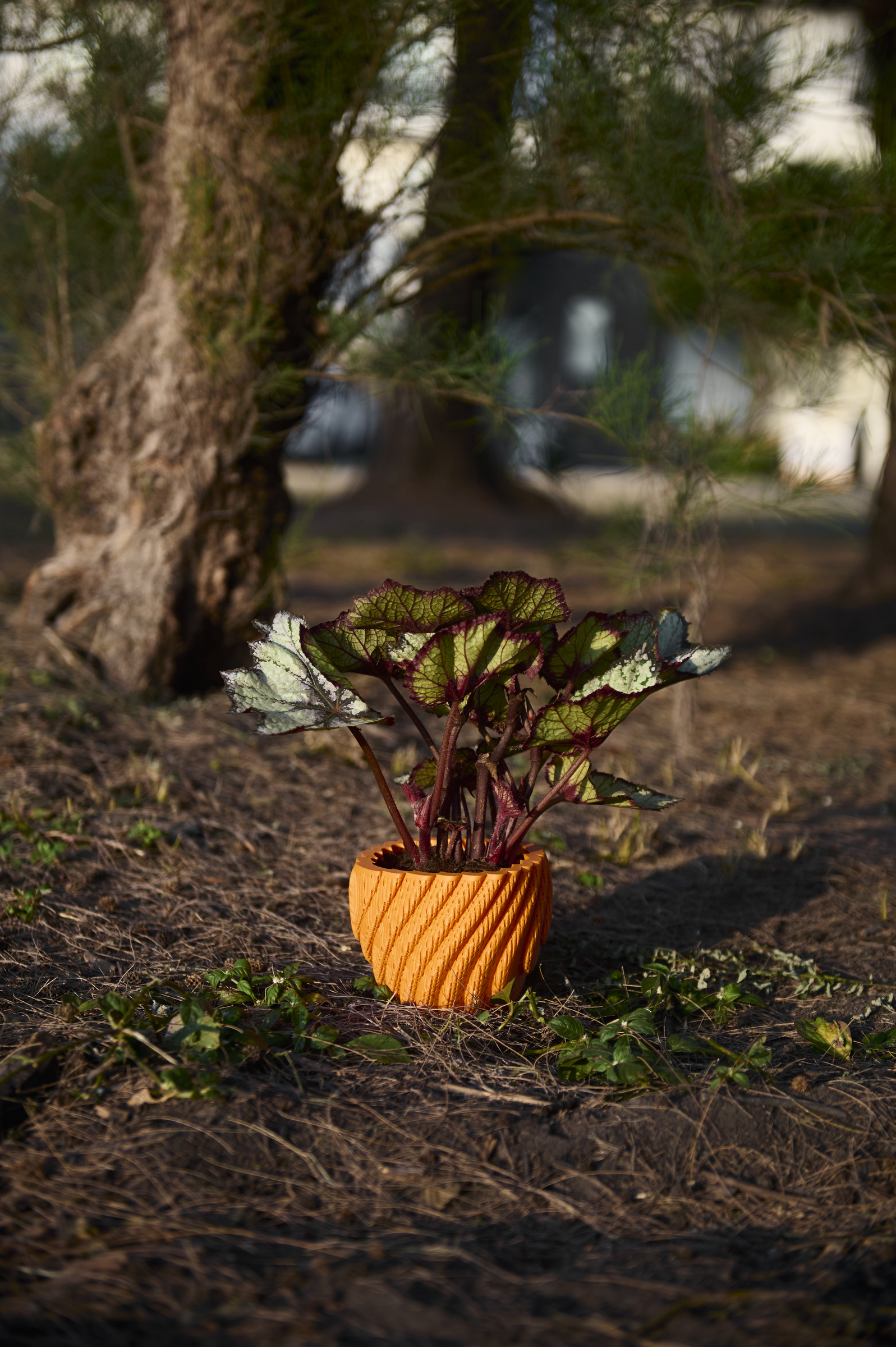 image_32C6B04F-2031-4228-9B28-000D69688675_1761793700