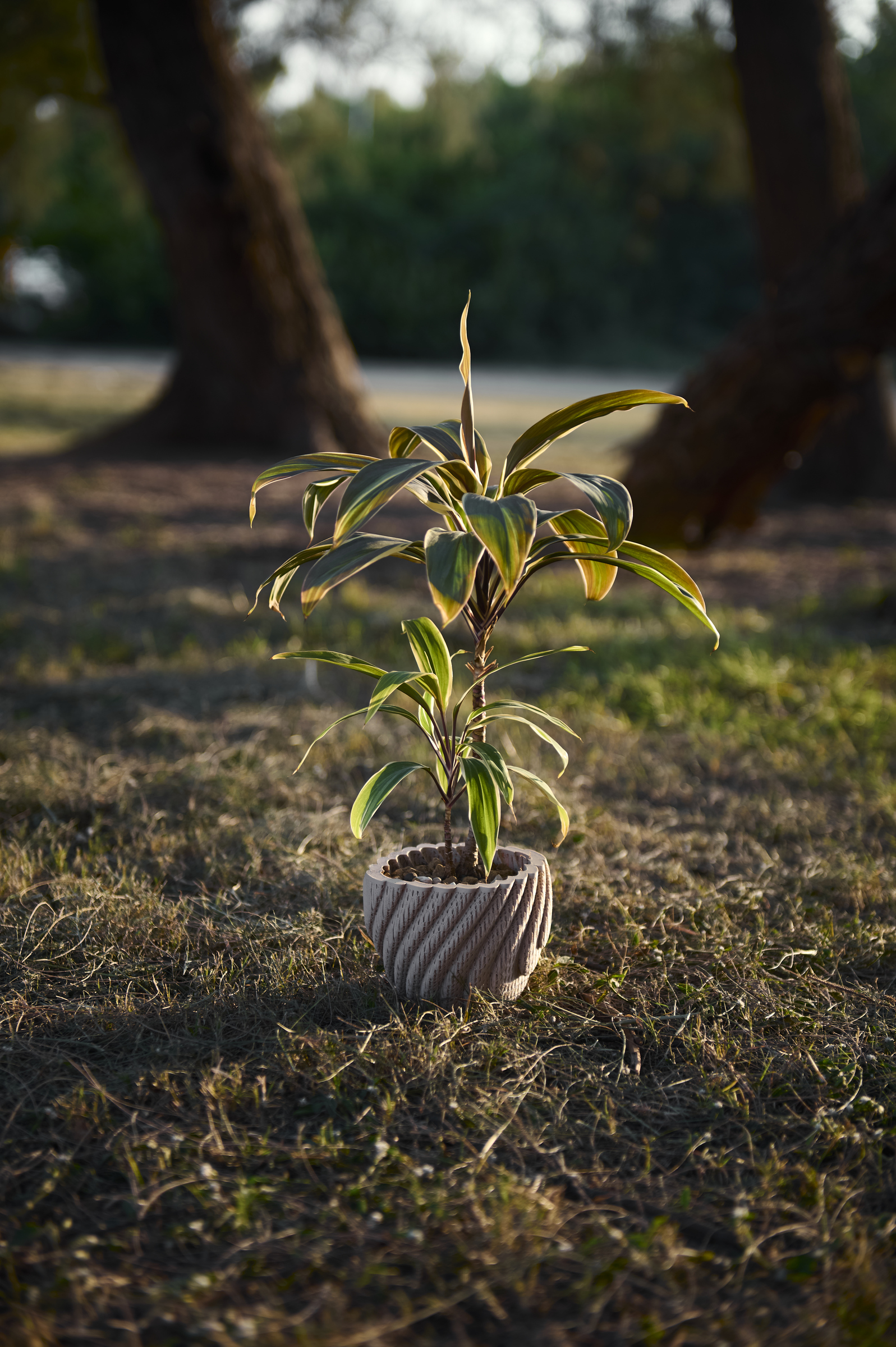 image_804BEE07-9DCD-4D9F-8879-ACD355A48566_1761793700