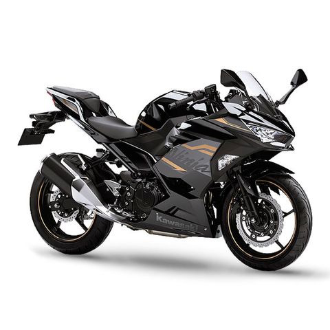 NINJA 250 ABS Metalic matte graphite gray