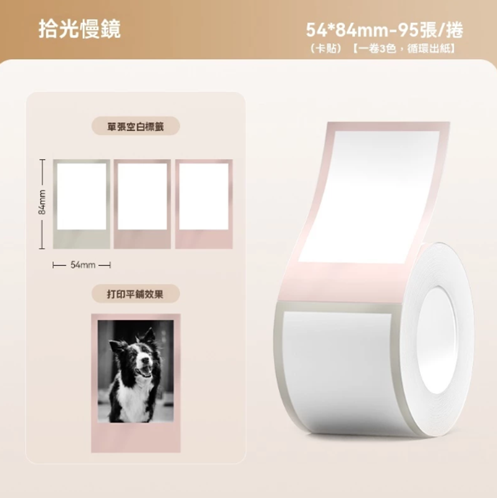 螢幕擷取畫面 2025-03-28 214510