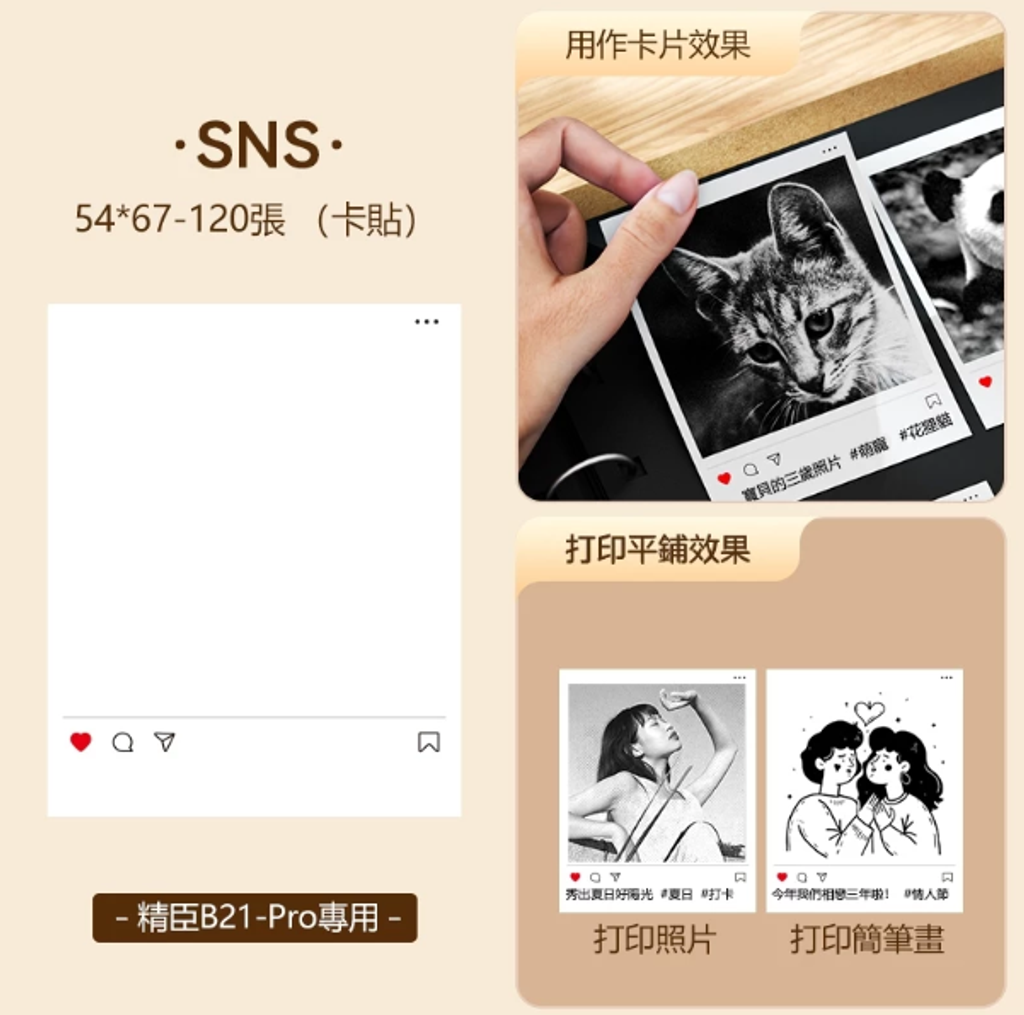 螢幕擷取畫面 2025-03-28 213951