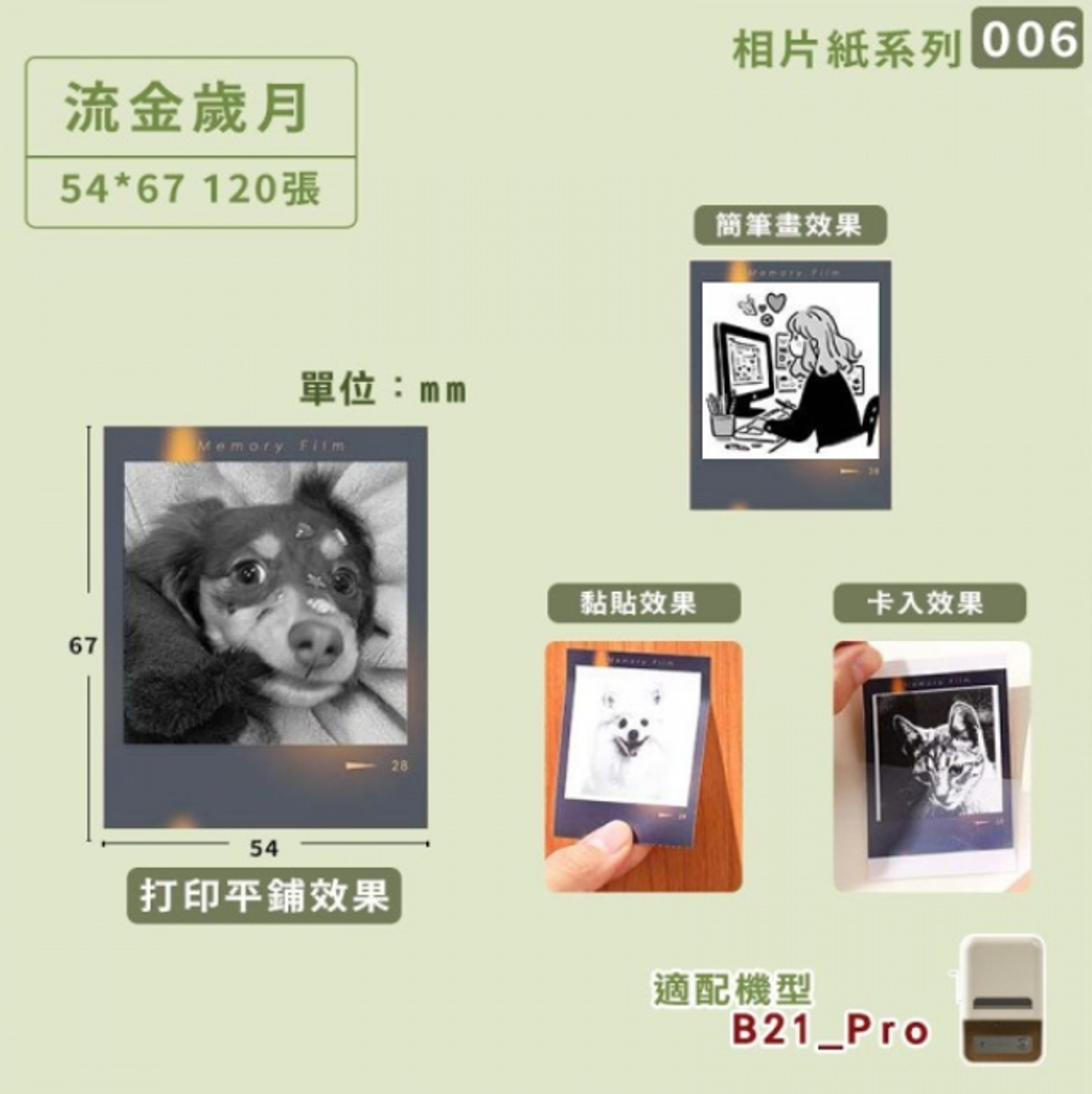 螢幕擷取畫面 2025-06-19 000626