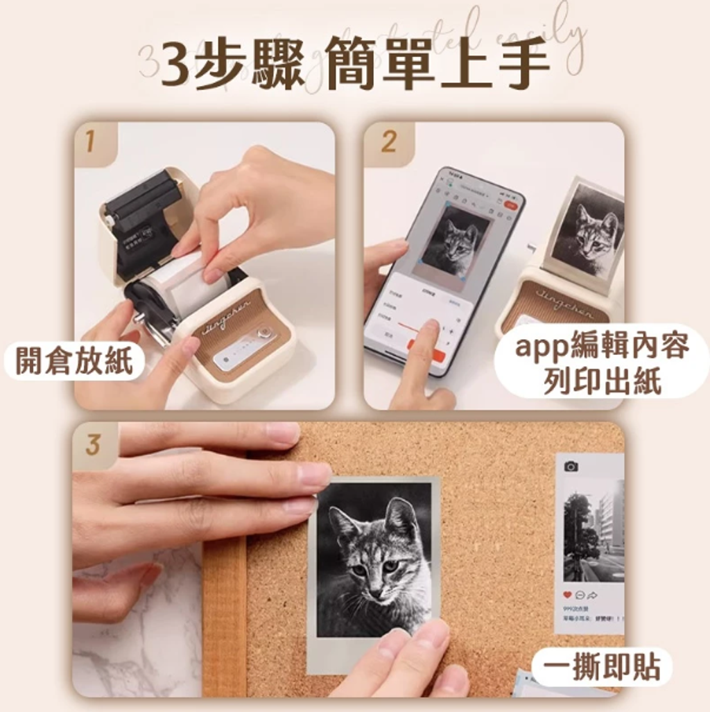 螢幕擷取畫面 2025-06-23 223427