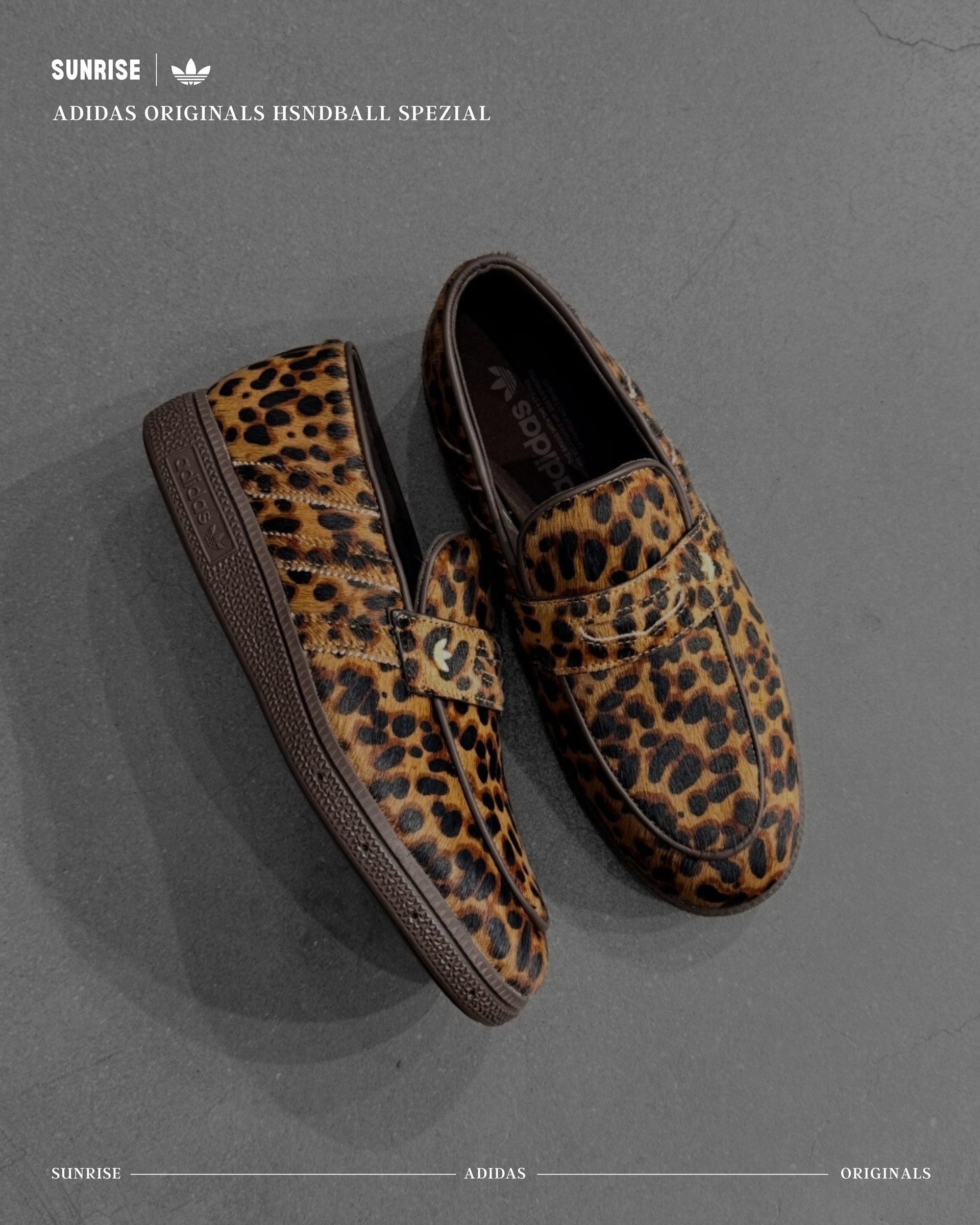 image_AAED128D-680B-4732-BE9F-95055463D23C_1772608923