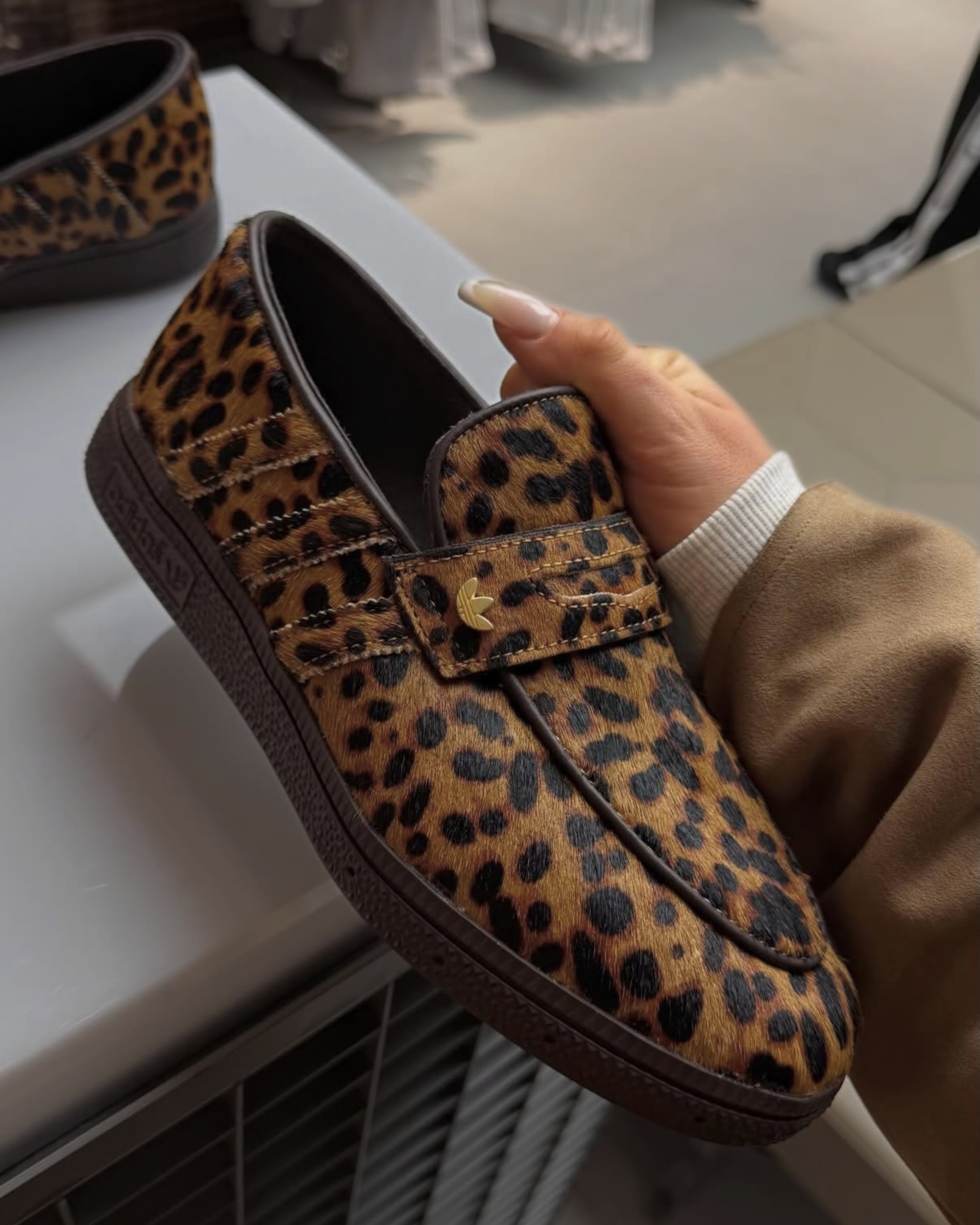 image_10D1770D-419F-4986-BD03-D17E22523F81_1772608923