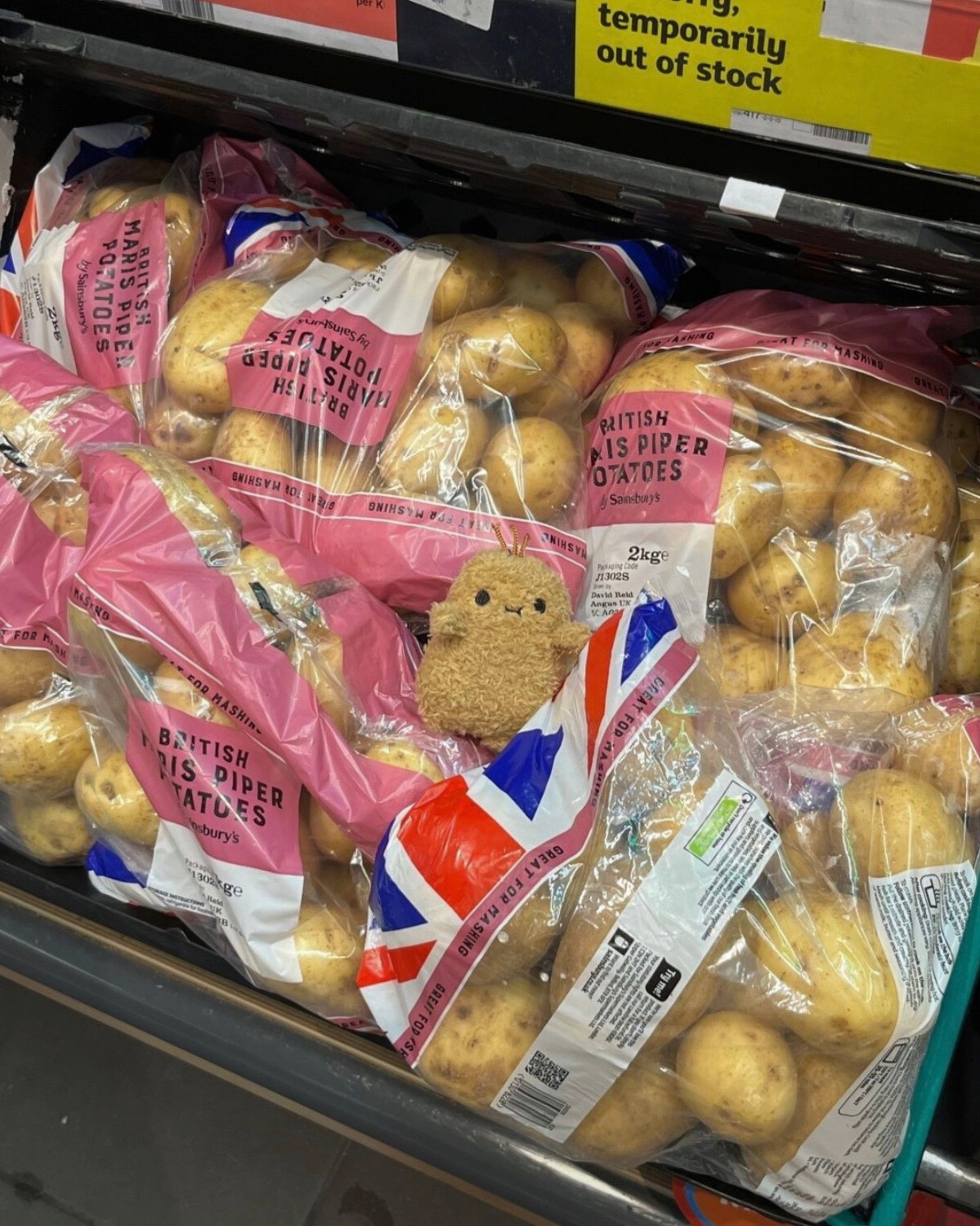 image_1E4CD6B2-F237-441C-866A-FE02E88C34E5_1773044126