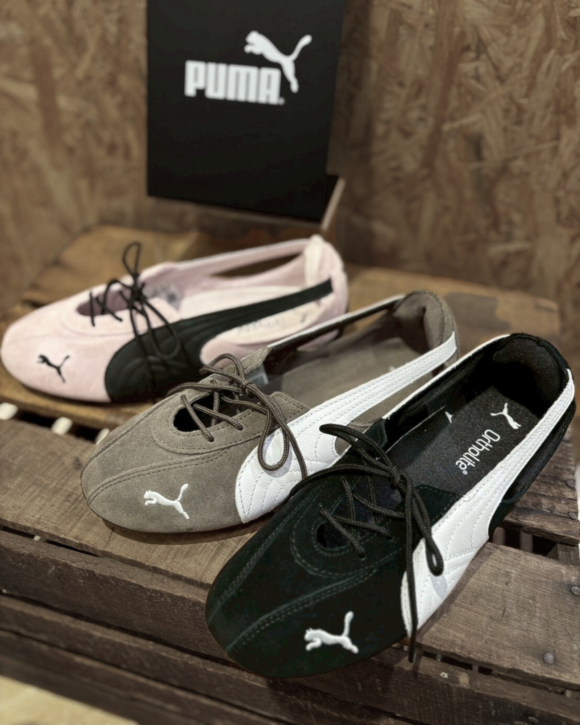 image_64830267-2BF1-4C71-89D2-F74B2D25C503_1773483696