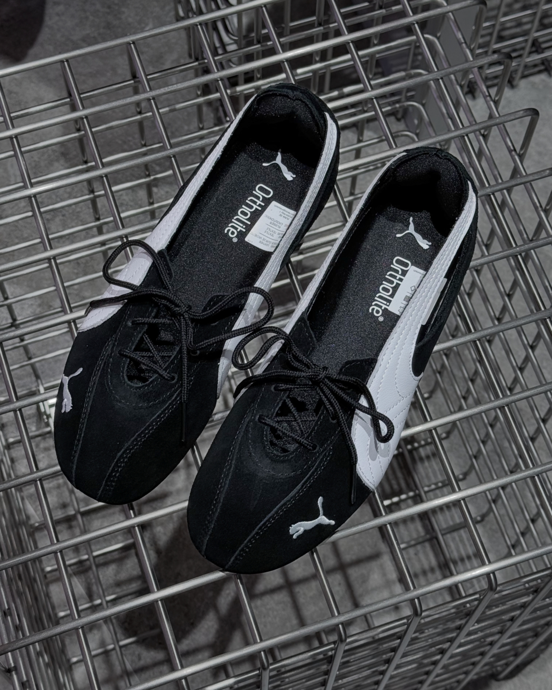 image_EFFF2F68-3A2A-469A-88CE-EEDDCD86627E_1773483696