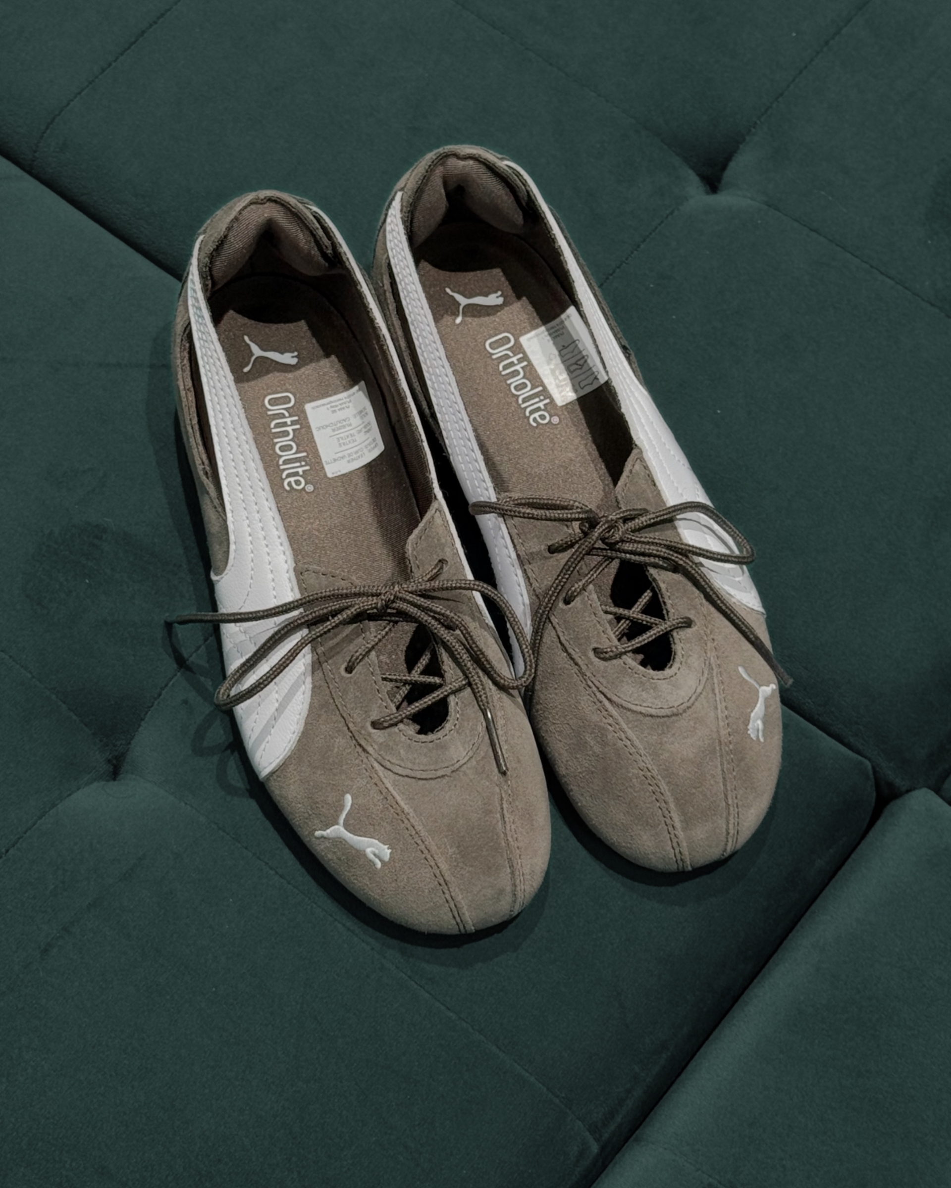 image_428B0303-7C46-480D-AF01-9A324F619D49_1773483696