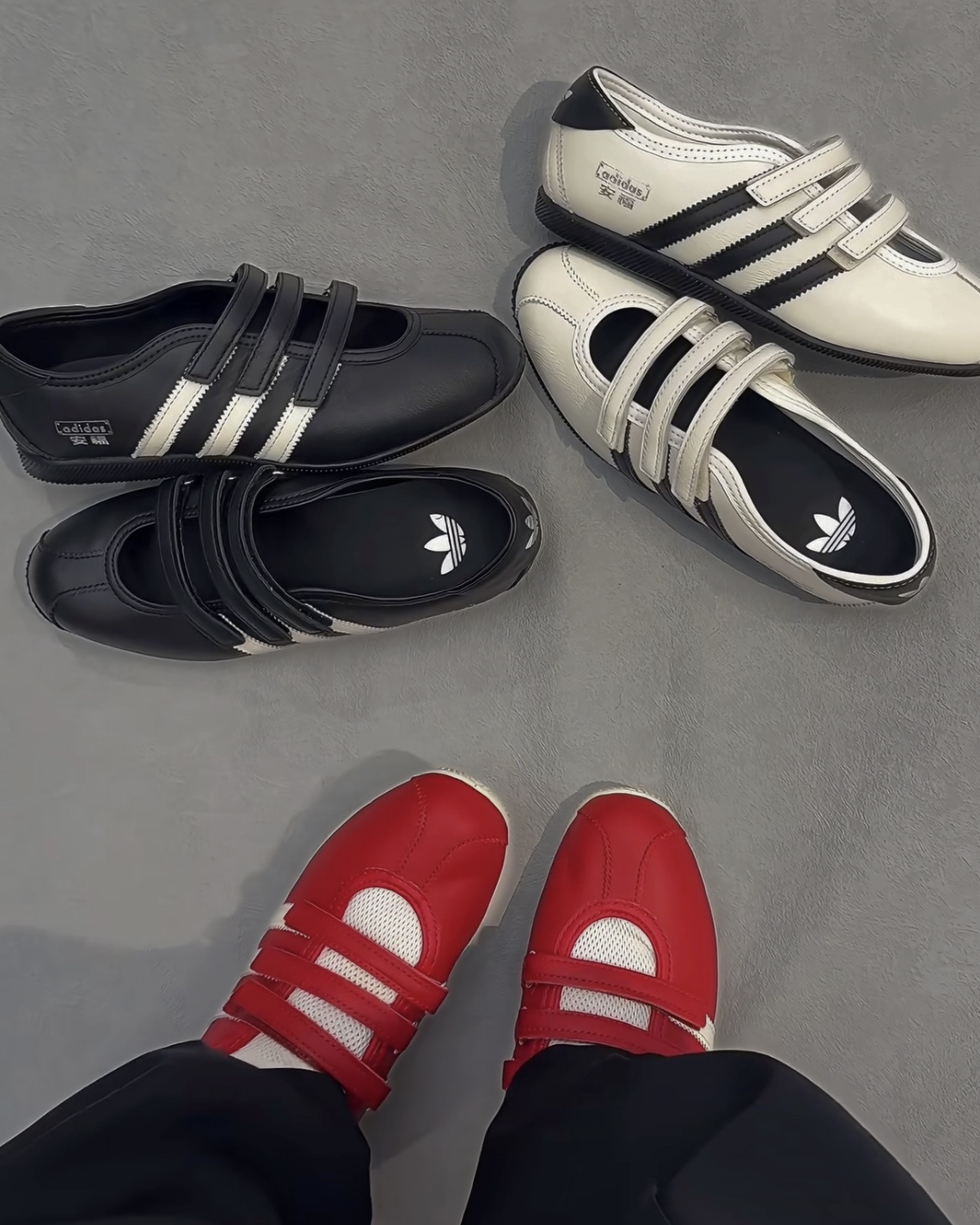 image_CFB93AC9-1DBC-494E-AAE9-04AEF1316DB2_1773631490