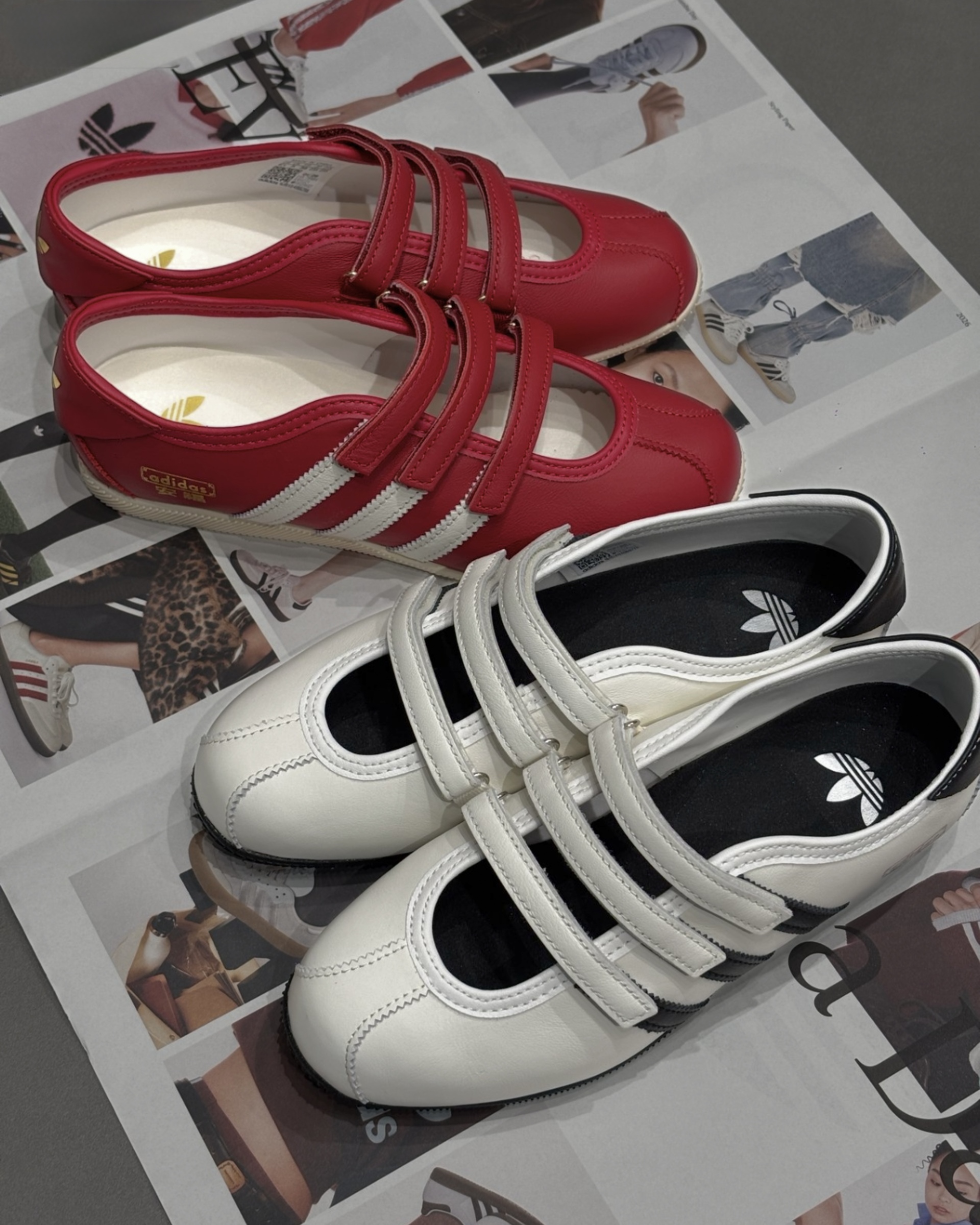 image_935A9C23-F793-4F40-994C-807D9CF37E87_1773631490