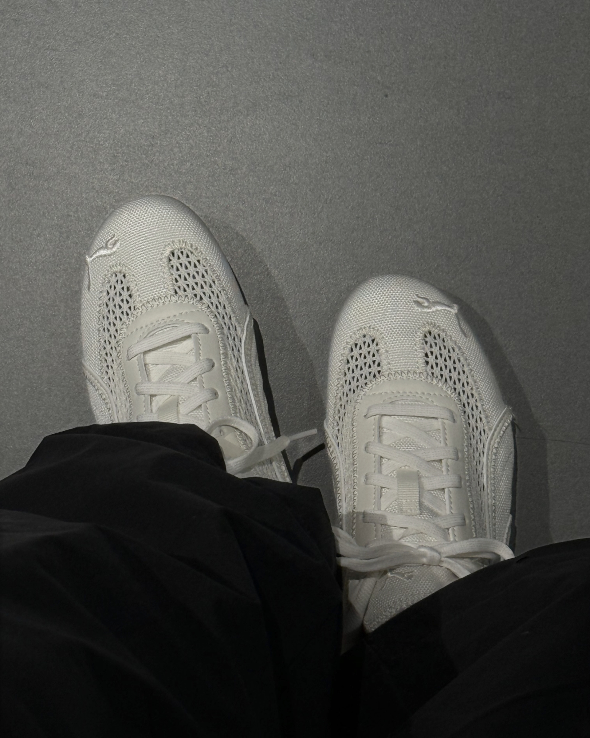 image_BD7B3302-3FEB-4091-855A-0F66A3D6DCCE_1774323817