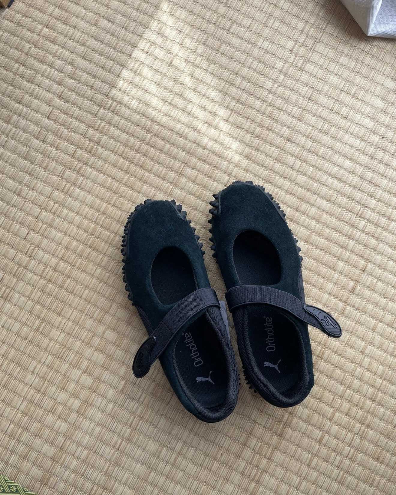 image_0BE35004-96DE-4158-89BD-A5ABB765DB9B_1774370177