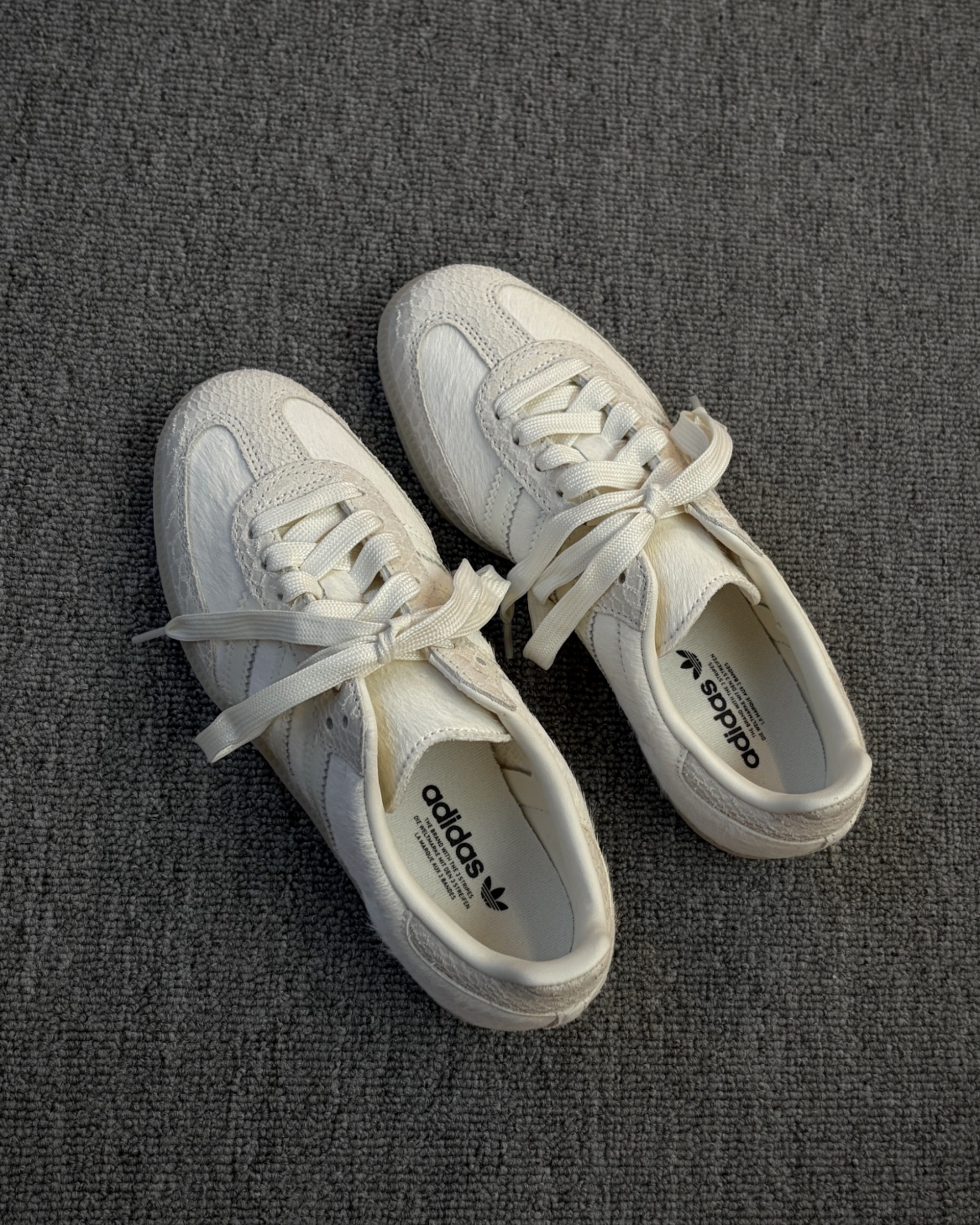 image_72D3A7D1-CFD0-4A0F-A822-10DB97B88AE2_1774586433