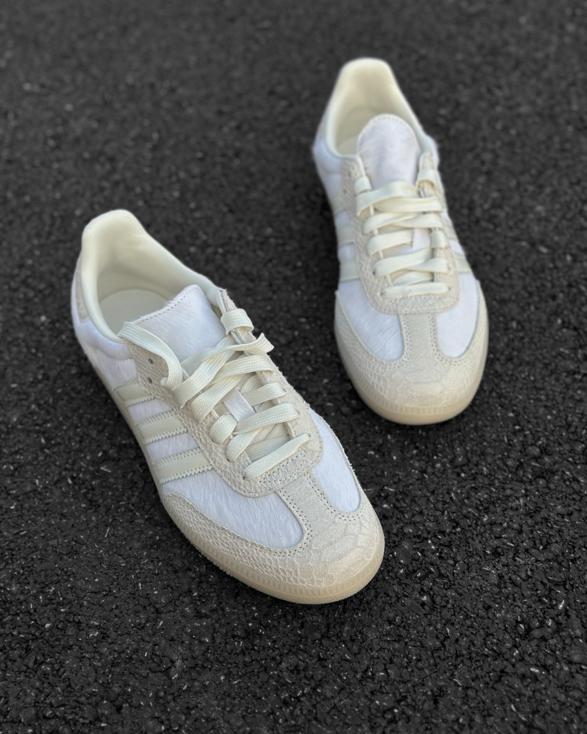 image_E89595C5-AABA-4630-84CB-359672268941_1774586433