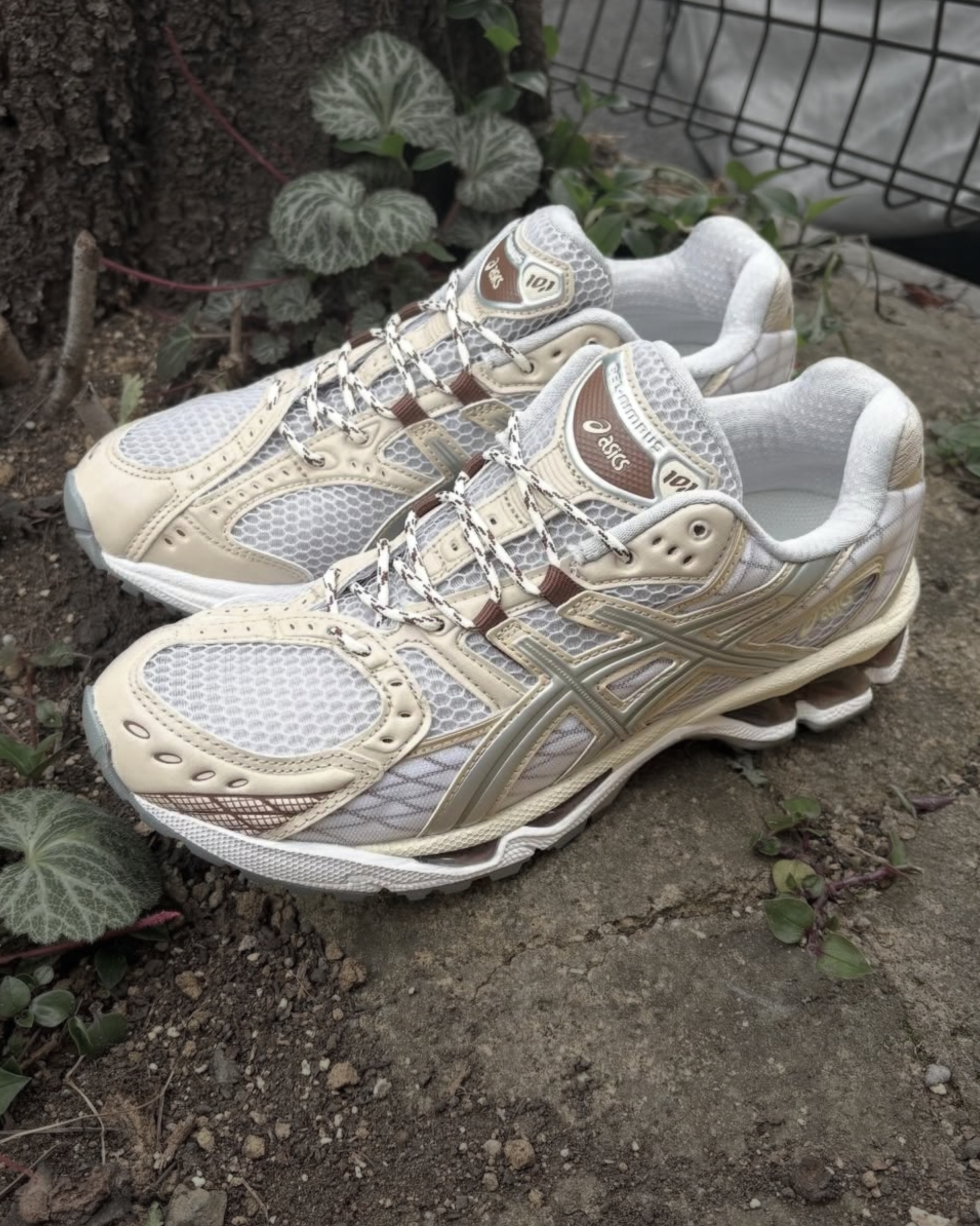 image_844687BD-8941-4139-8DF0-778A1780A4B8_1774866183