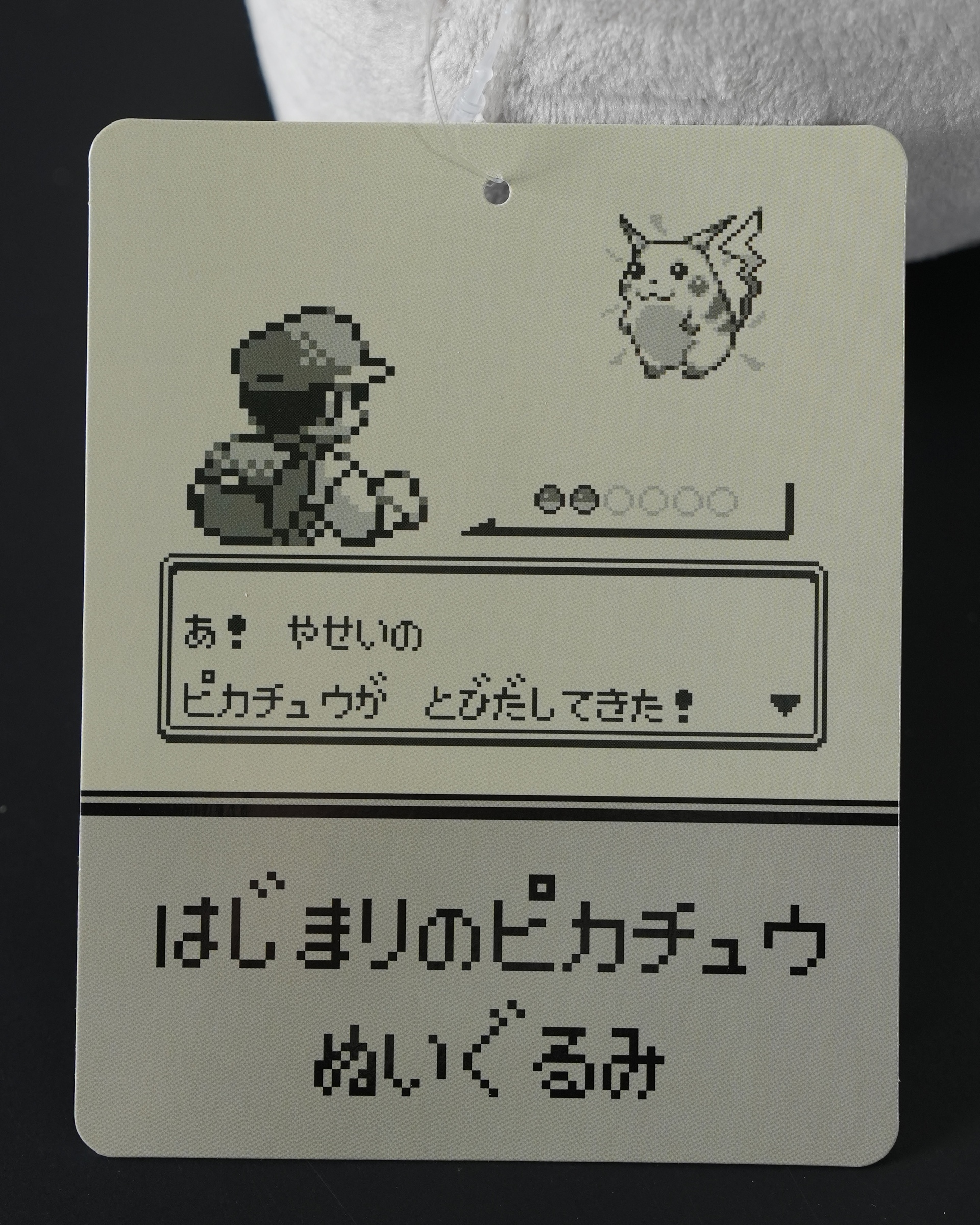 image_4526F7D4-0593-433A-9975-1100E9F0DFA6_1775052601