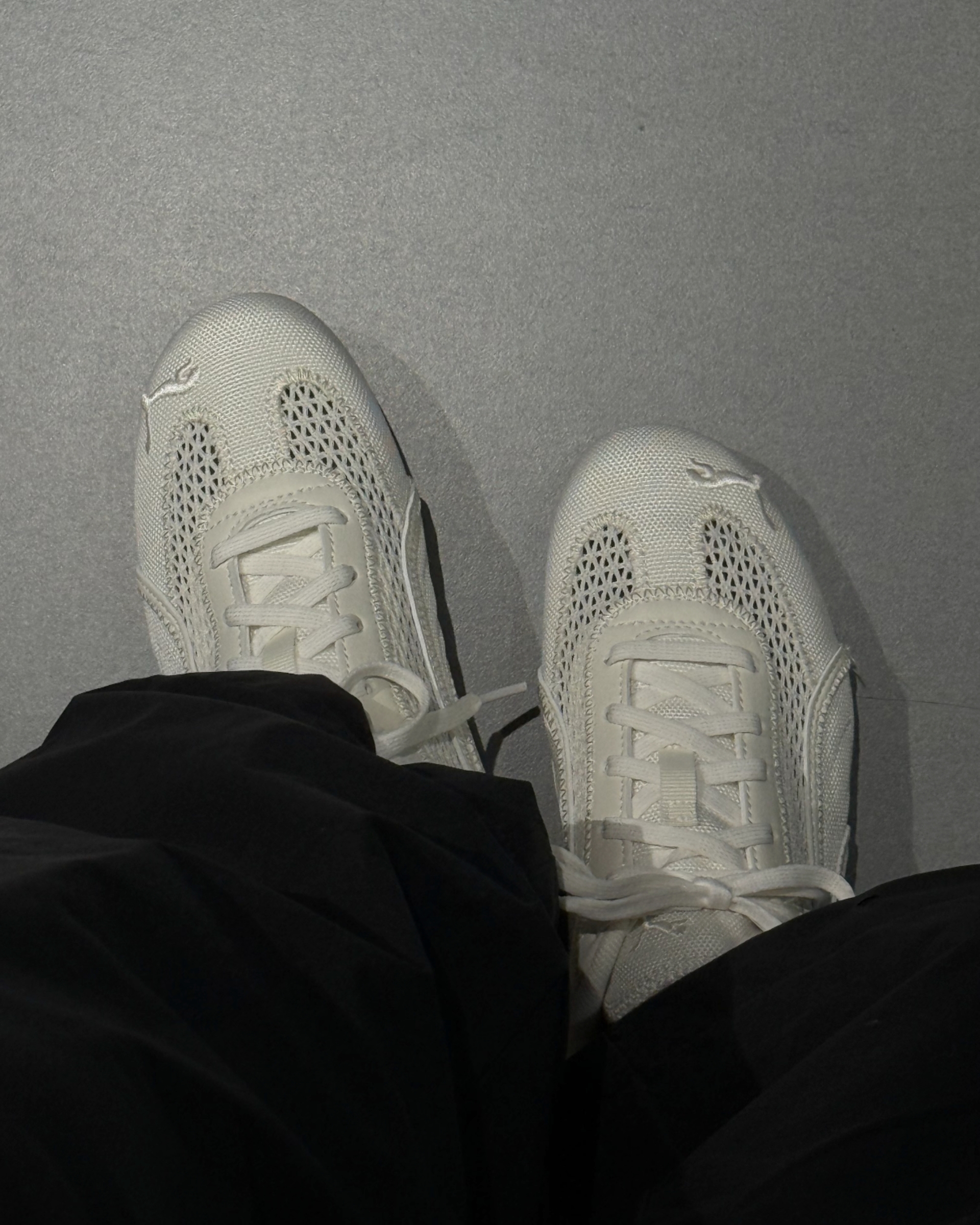 image_8B0F6661-41E2-4BBD-BD64-81992CC957D2_1775102957