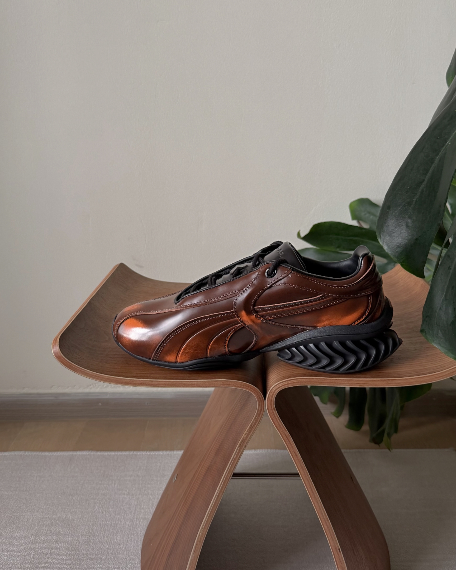 image_E0B40D81-2D6F-4557-995A-7ABE852D71D8_1776154544