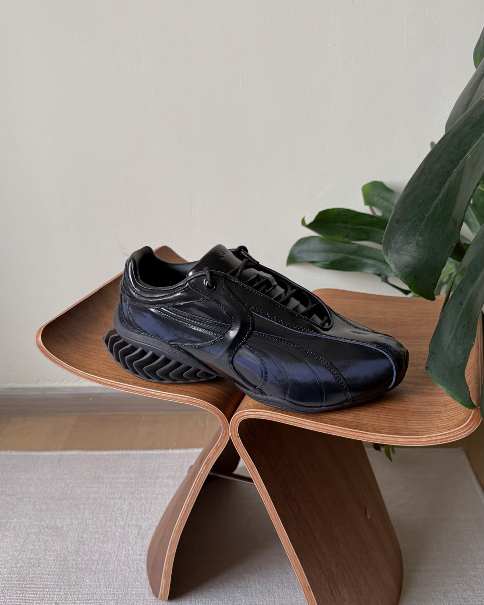 image_805ECA01-8209-4BE8-9E53-39C9307F0D5B_1776154544