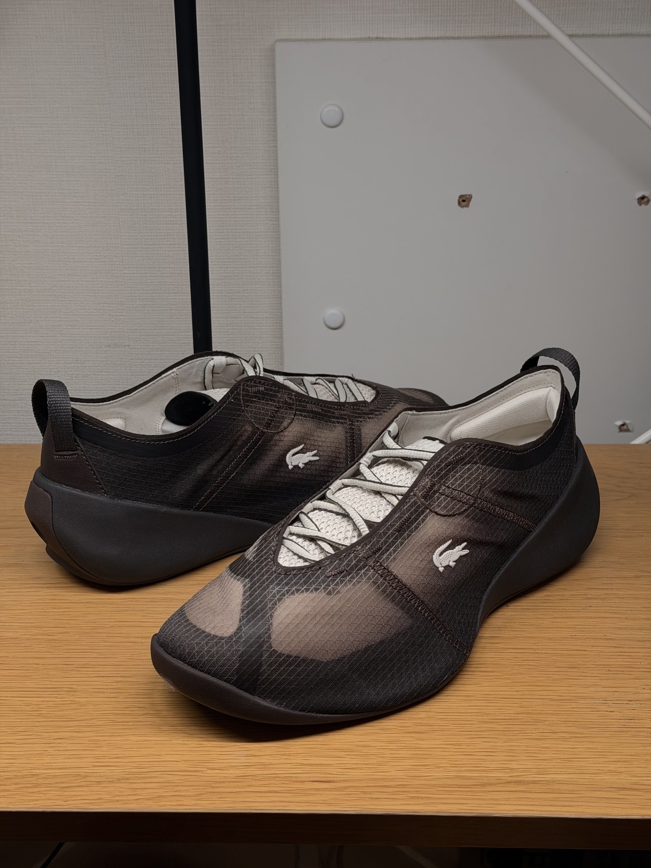 image_570D8C6D-AA32-4E92-BF19-1991C85442FA_1787187946