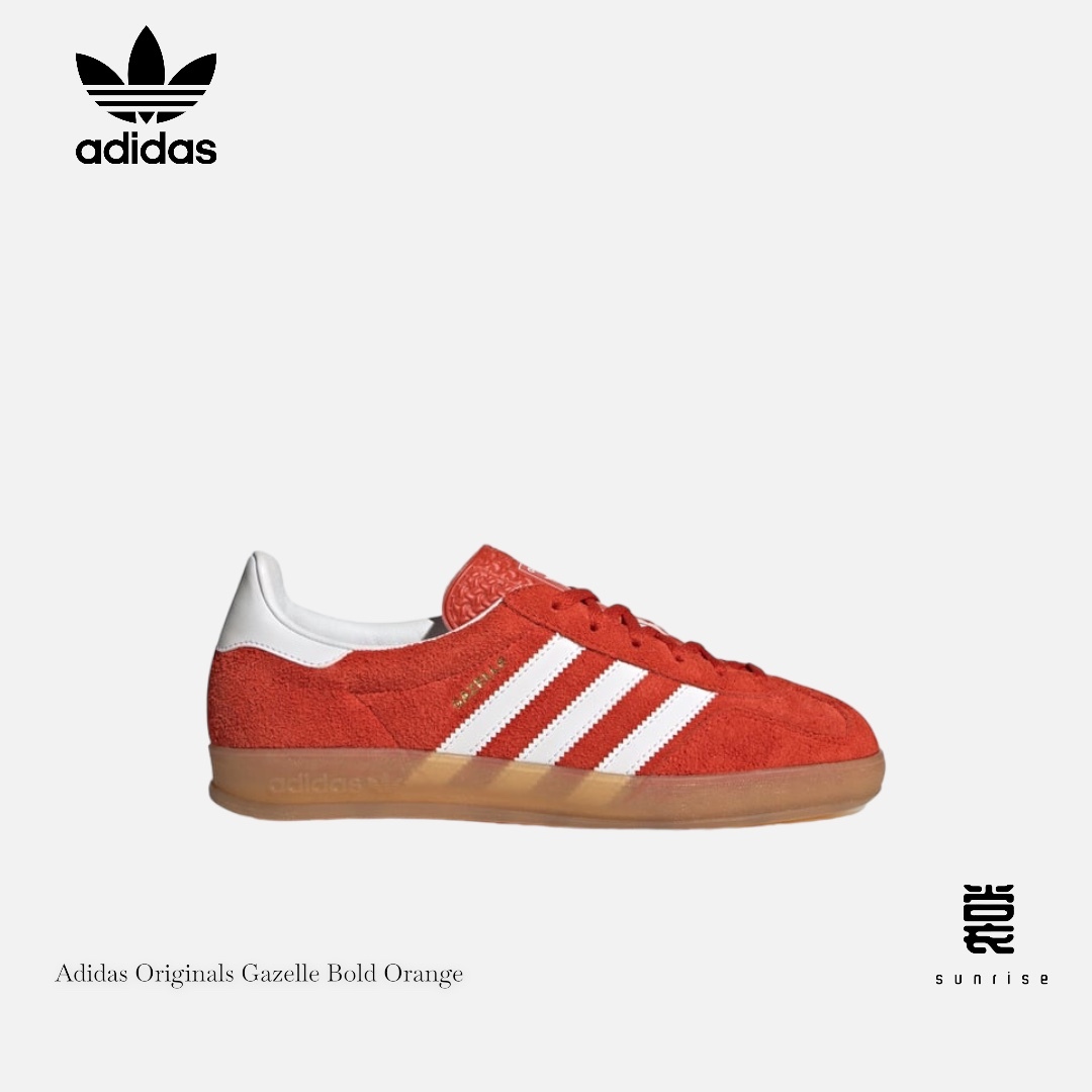 PhotoRoom_20240114_230304-1705244612149