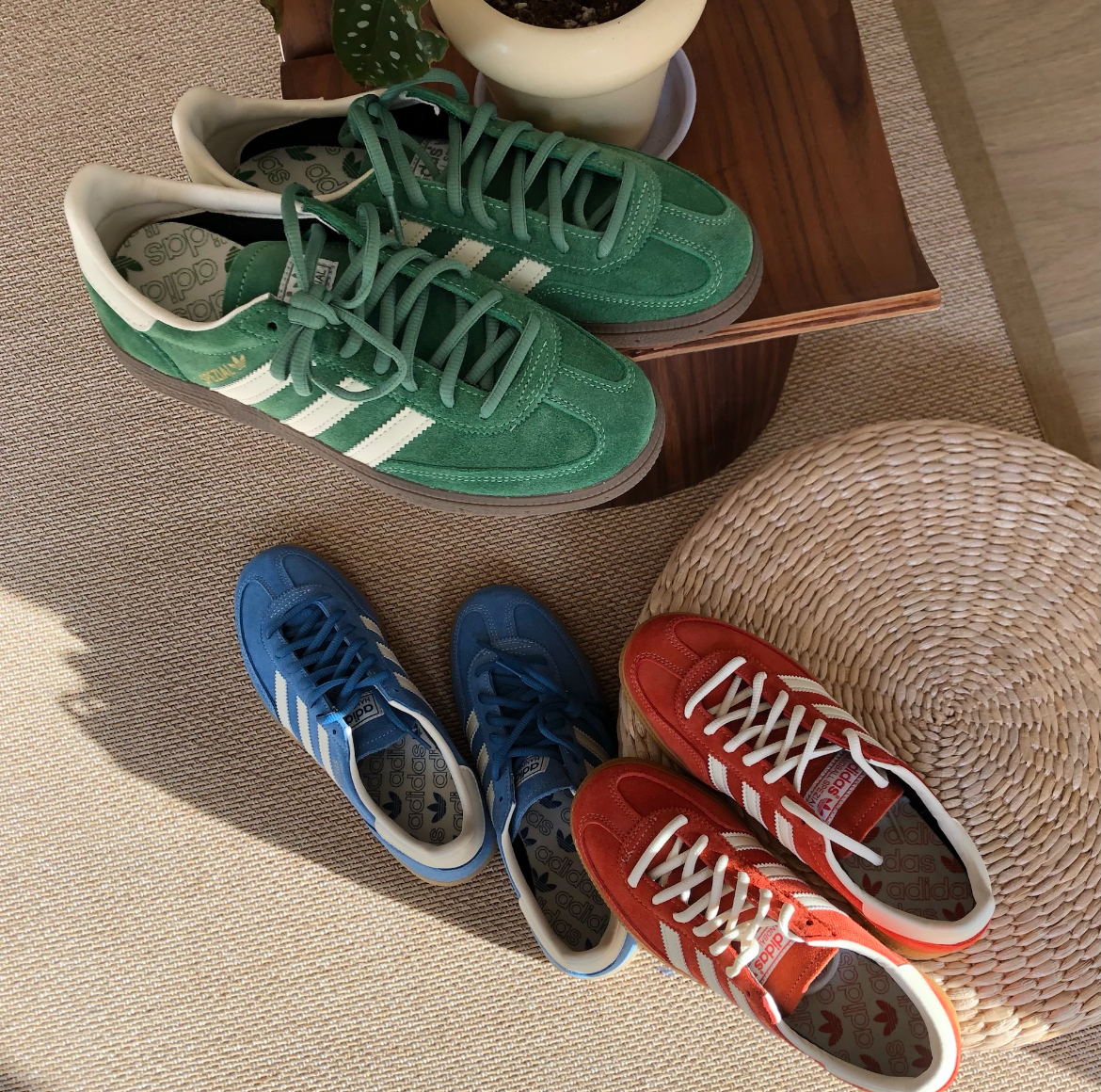 IMG_4982-1713333236950