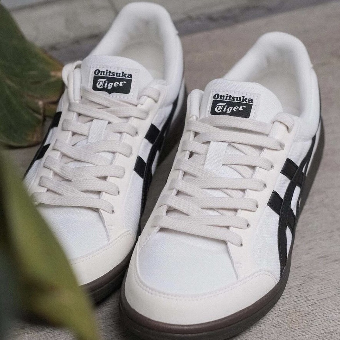 IMG_6102-1714633033794