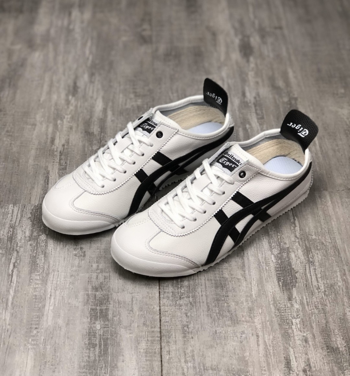 IMG_6334-1714987631134