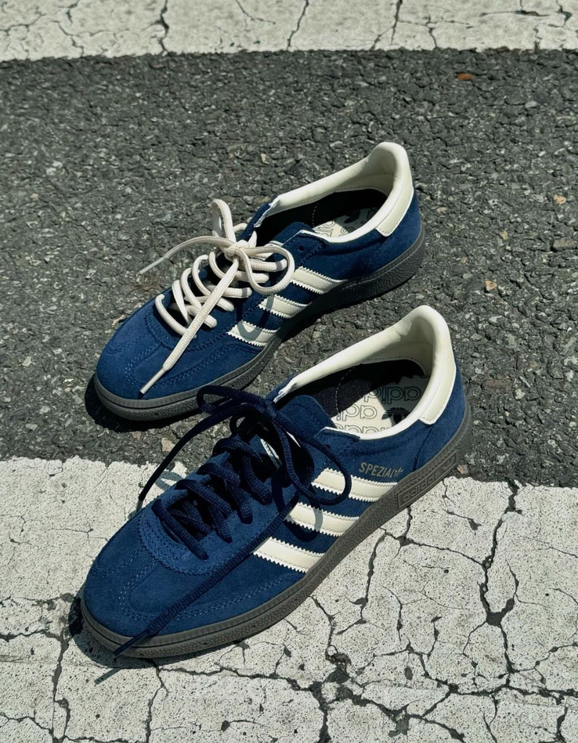 IMG_7265-1716479615070