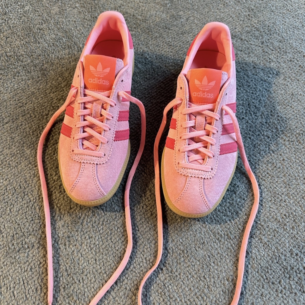 IMG_7403-1716889920083