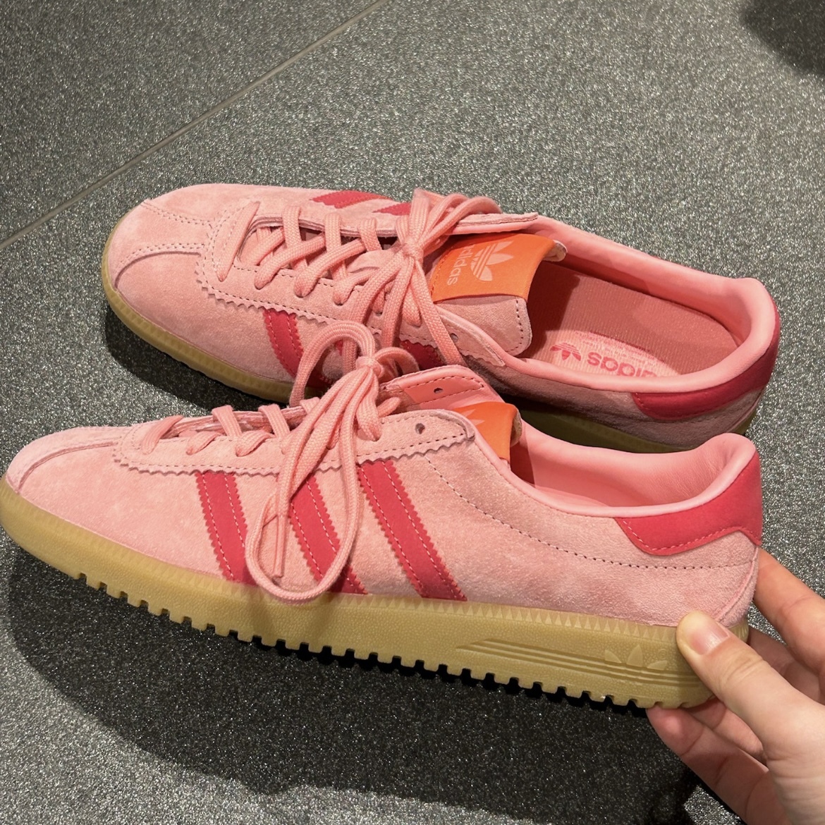 IMG_7396-1716889920095